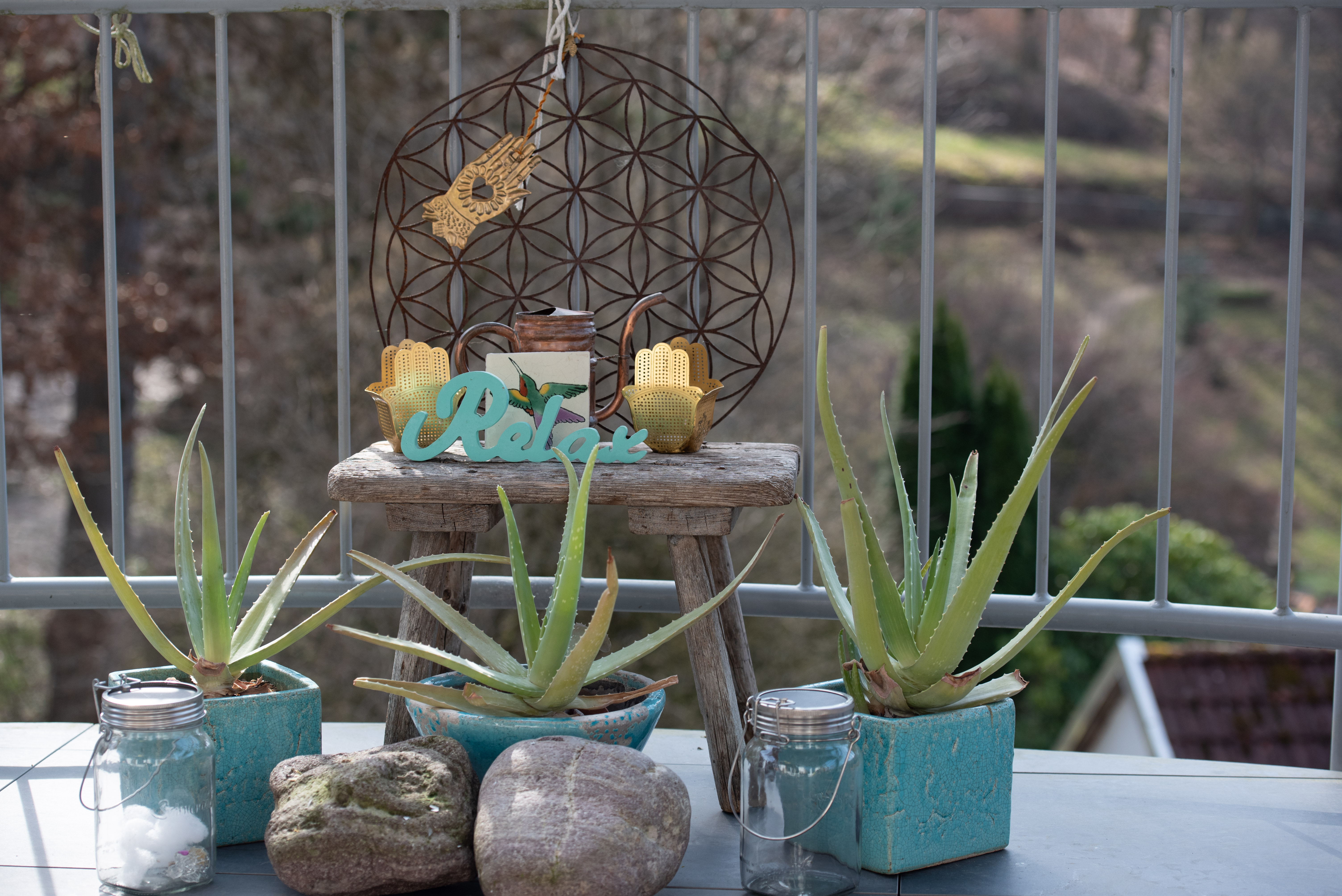 Entspannende Atmosphäre mit Aloe Vera, Blume des Lebens und Relax-Schriftzug bei Casa Limoni