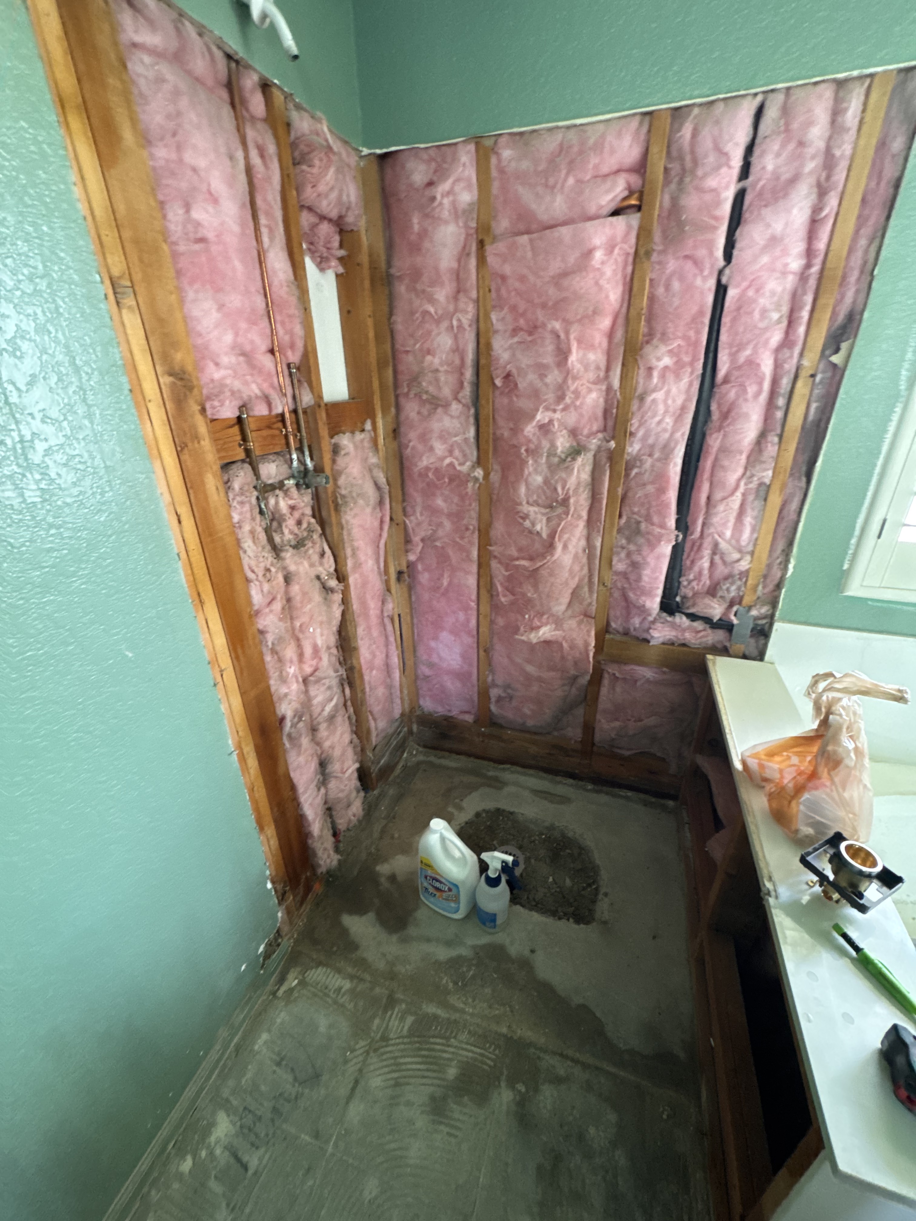 Shower Demo - Down to the Studs