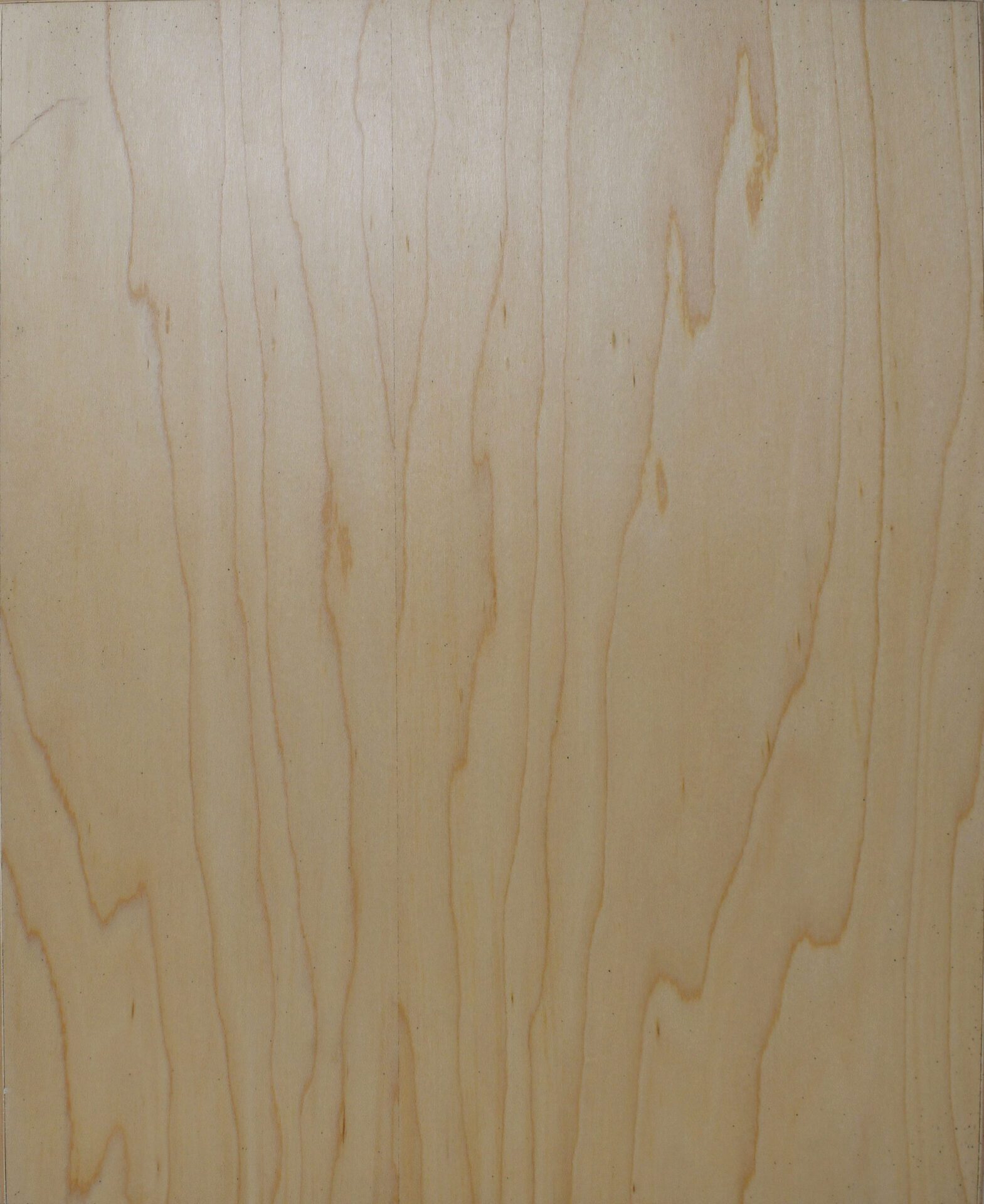 Horizon cabinet door style