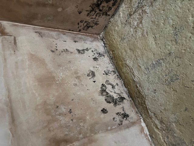Before - black mold on walls, damp floor