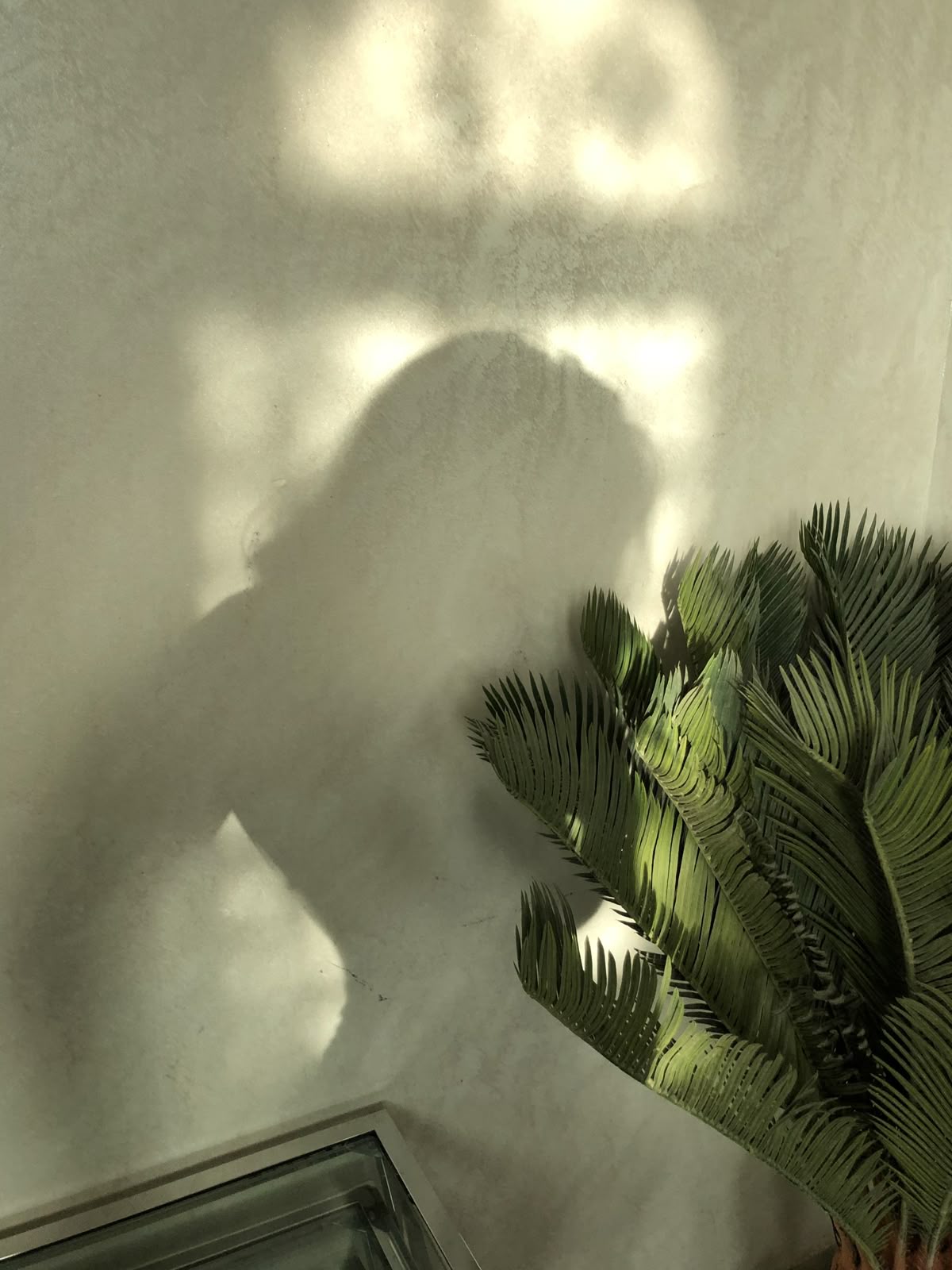 Resetea tu vida — Mutar.