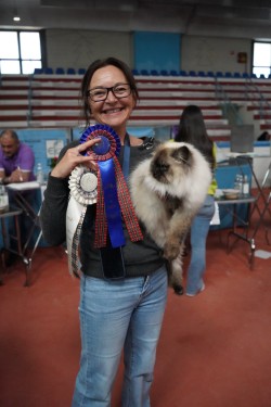 Prim with rosette at a cat show