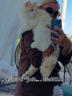 Fuoco being cuddled — first cuddles in his new home