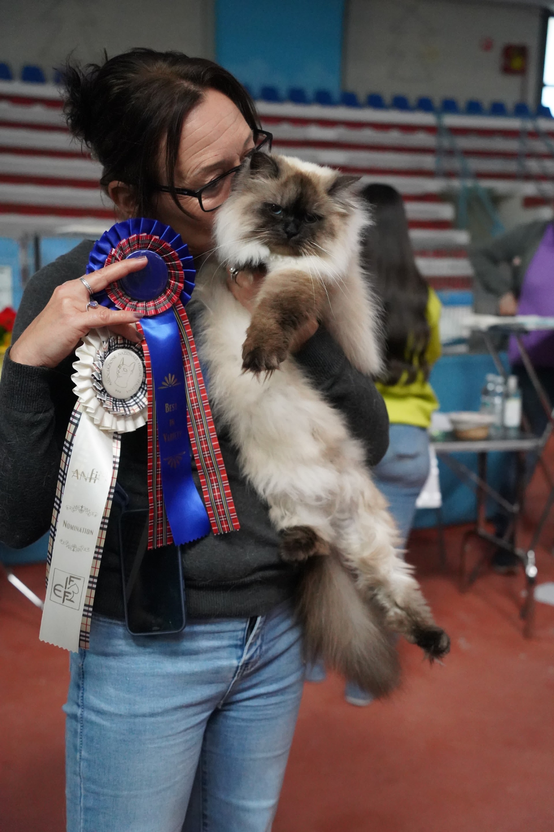 CH Tanzanite Prima Donna β Best in Variety with rosette