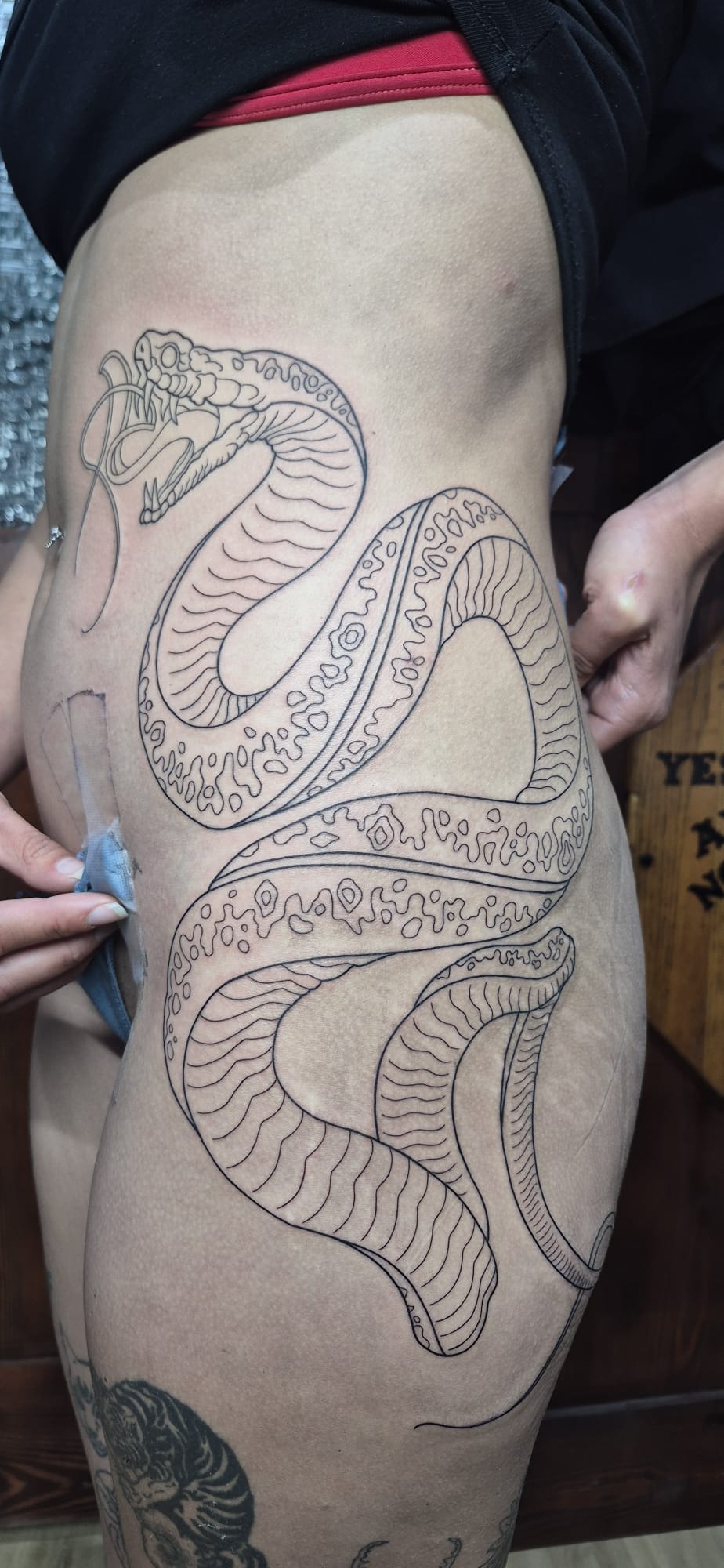 Large snake linework hip tattoo by Luca Falzon