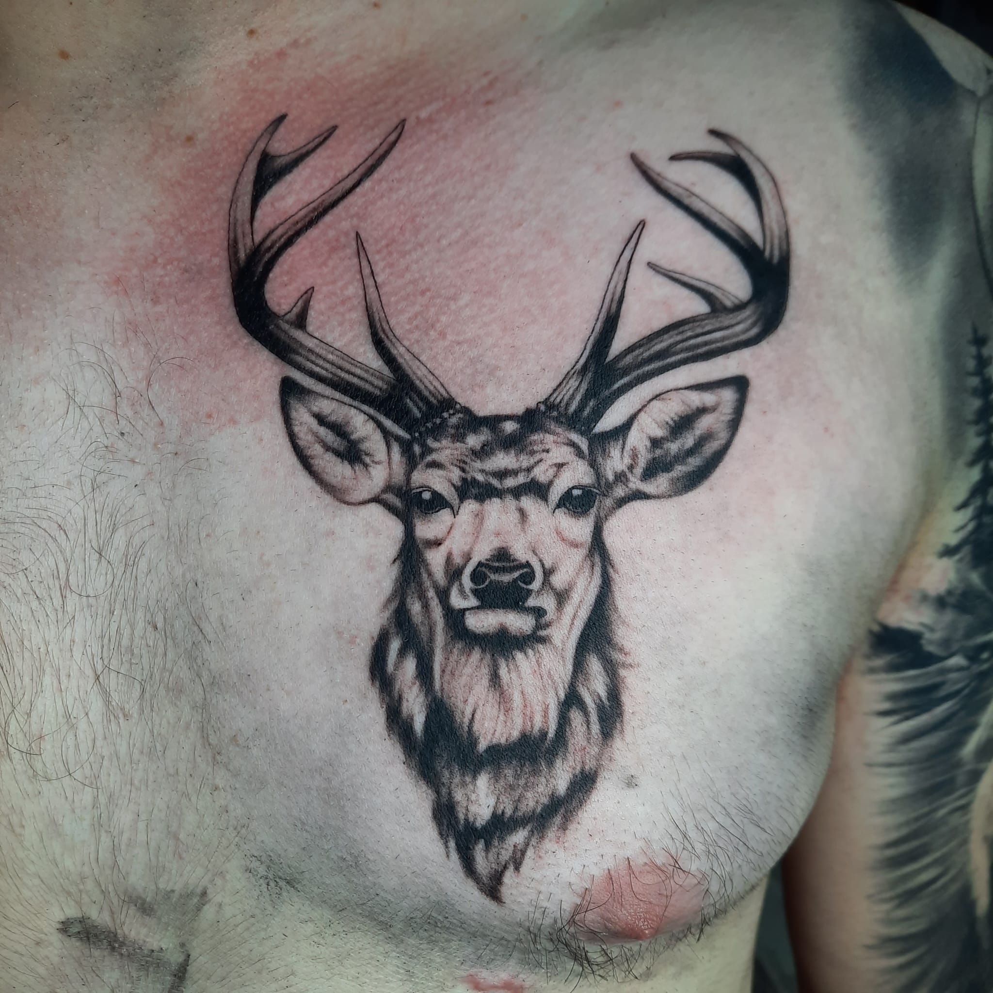 Stag head chest piece tattoo by Luca Falzon