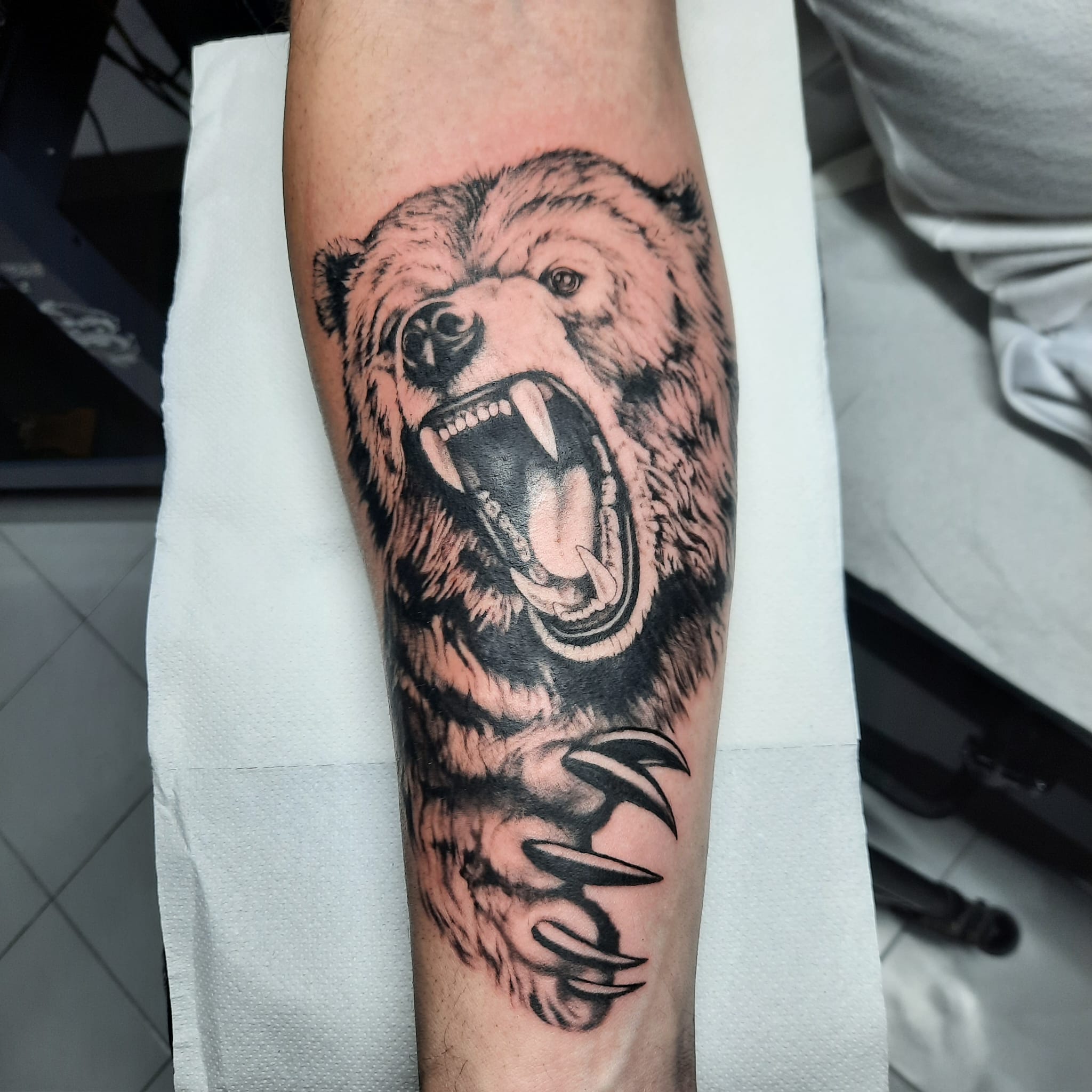 Roaring bear with claw forearm tattoo by Luca Falzon