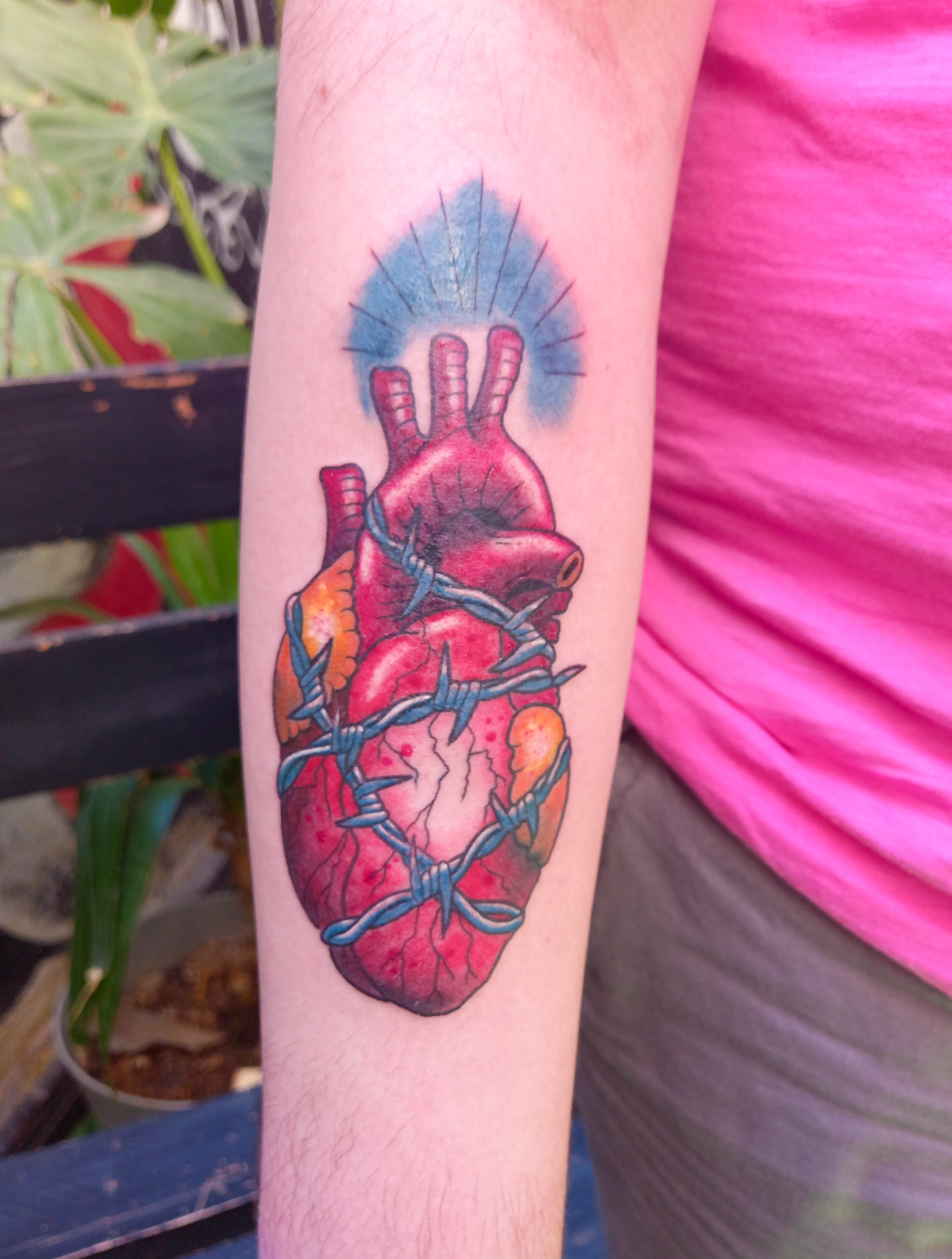 Anatomical heart with barbed wire colour forearm tattoo by Tori Talio