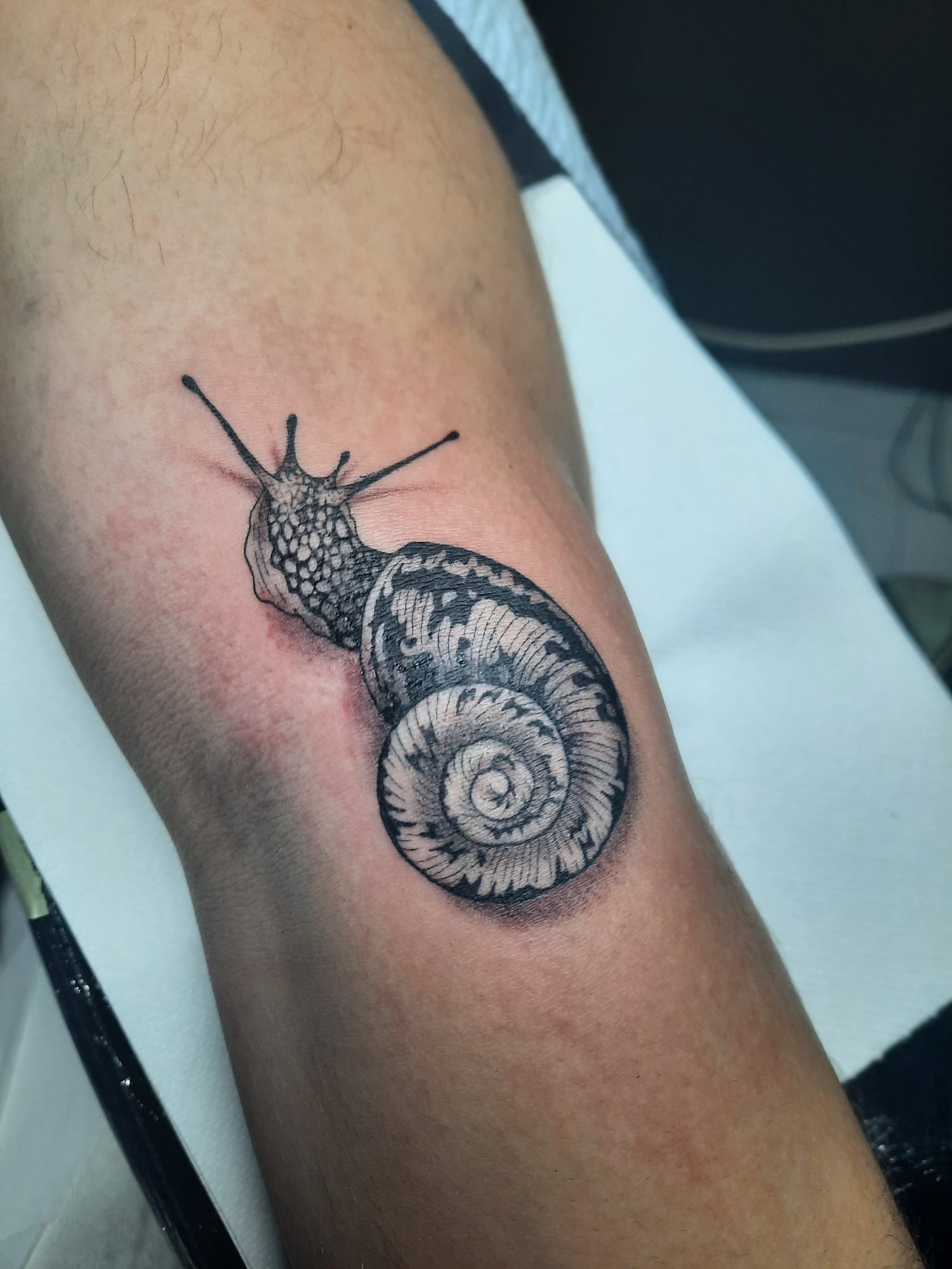 Detailed snail forearm tattoo by Luca Falzon