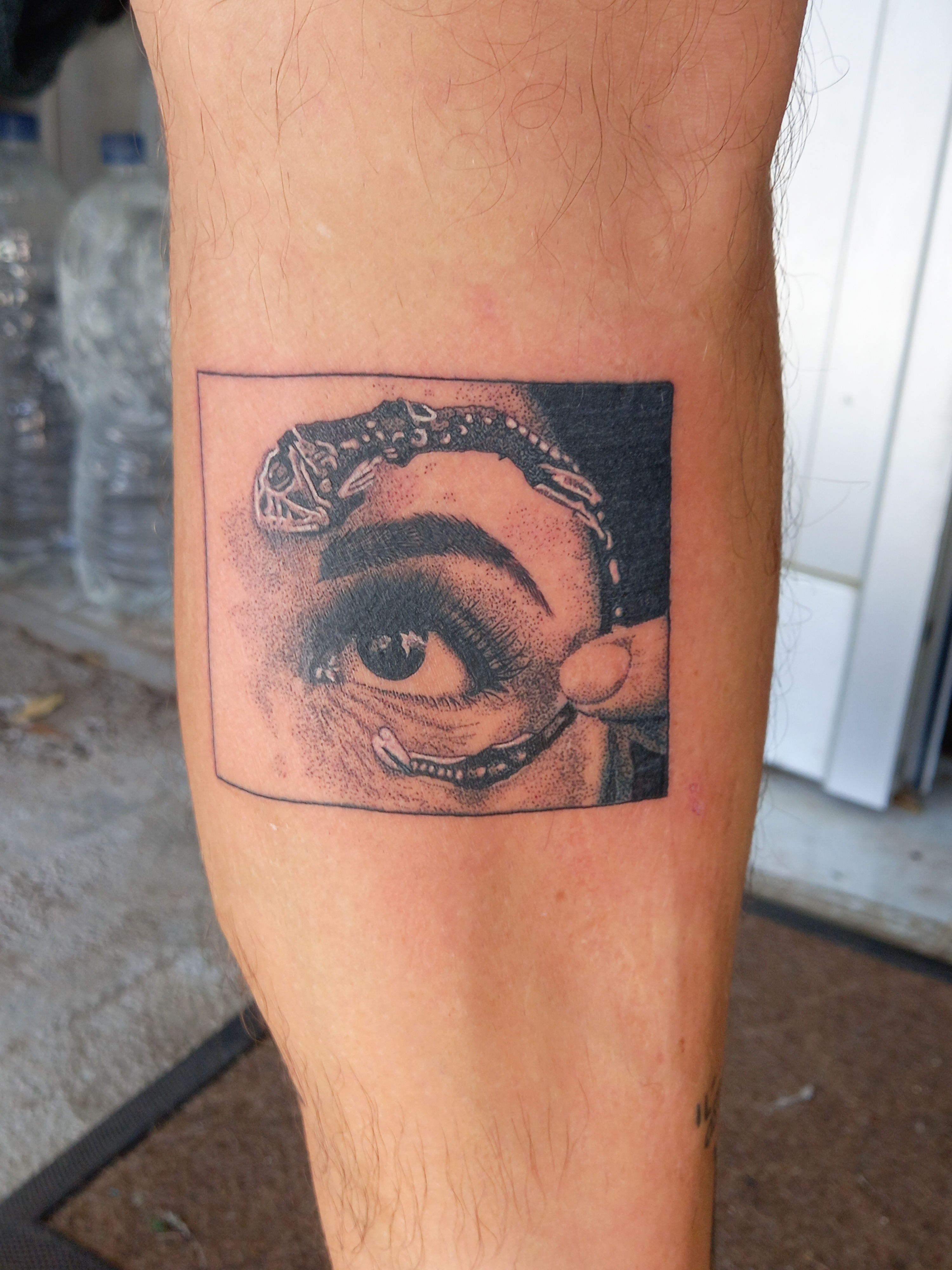 Eye with lizard gecko dot-work panel tattoo by Tori Talio