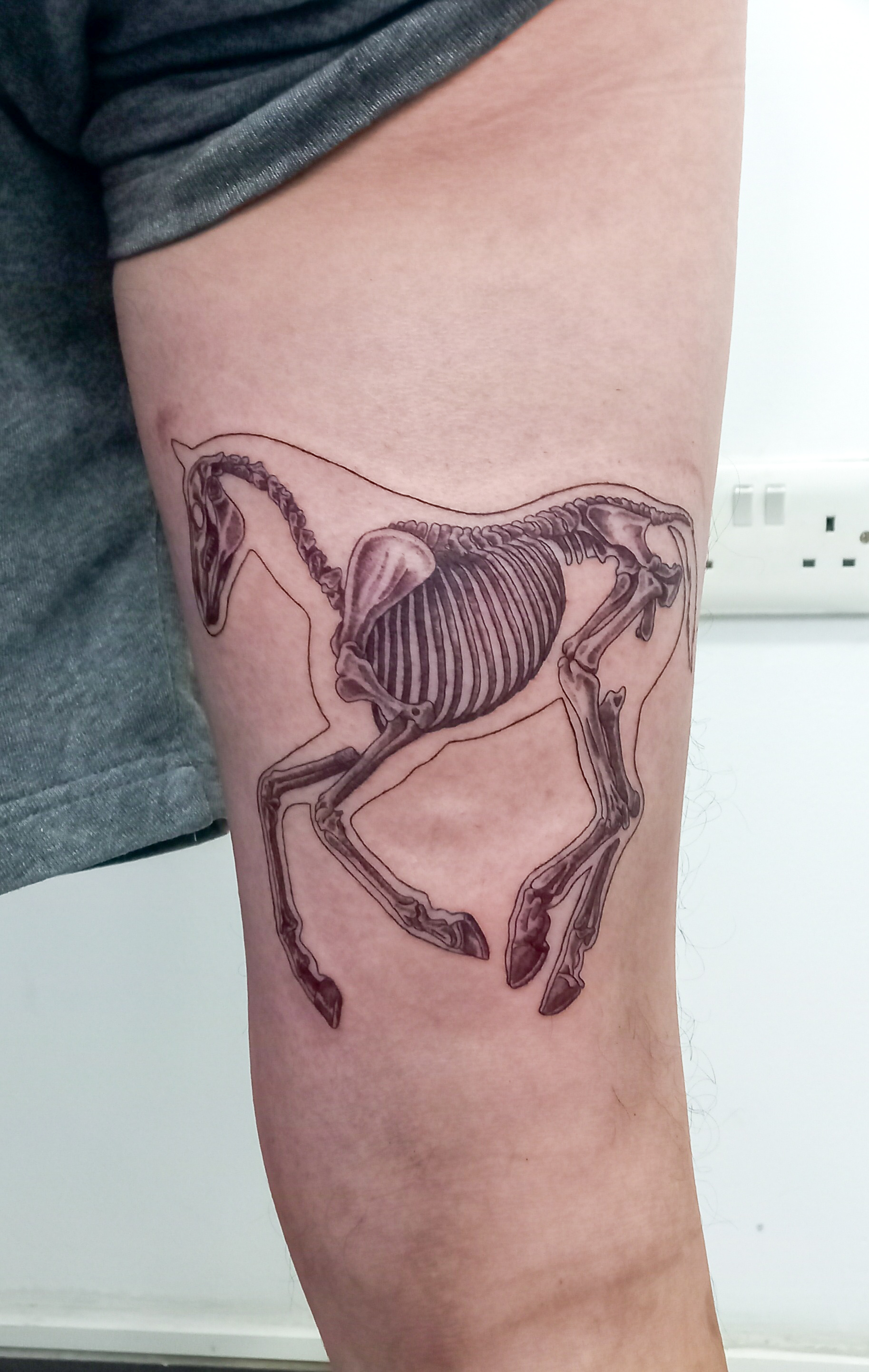 Horse skeleton anatomical thigh tattoo by Tori Talio