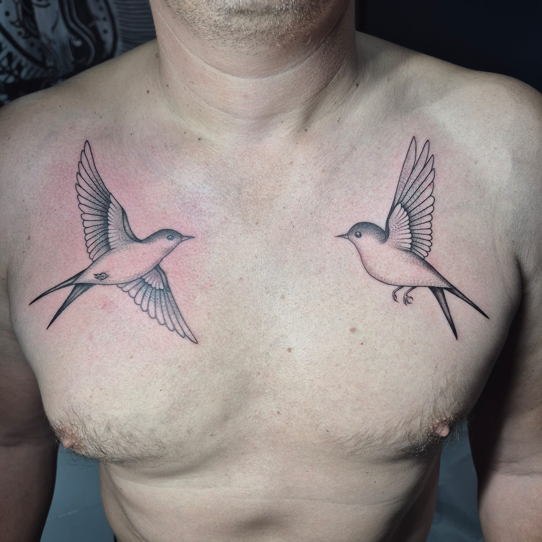 Swallow birds chest pair tattoo by Luca Falzon