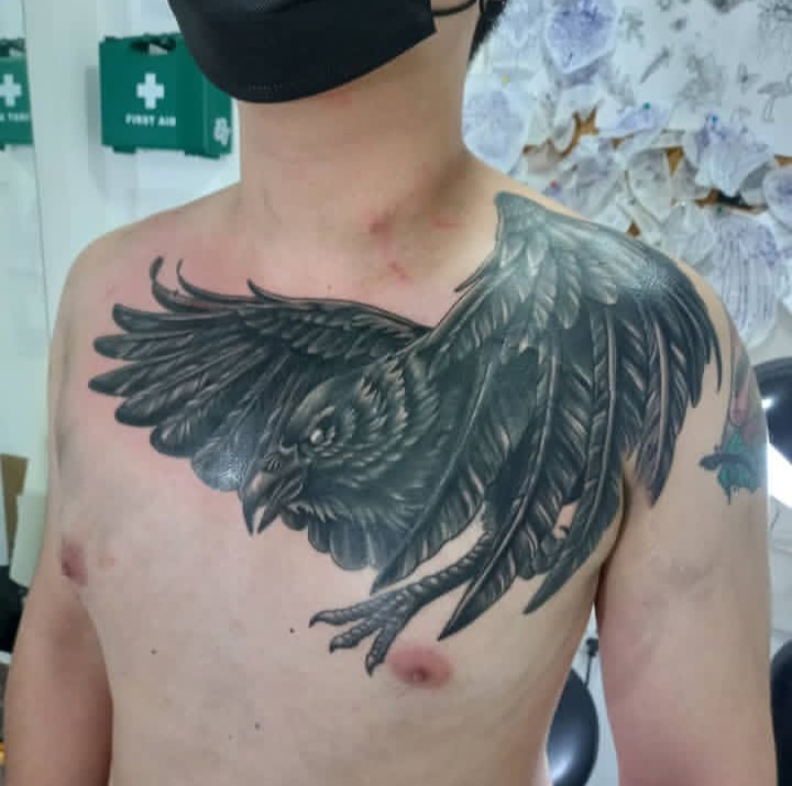 Eagle hawk chest piece black and grey realism tattoo by Tori Talio