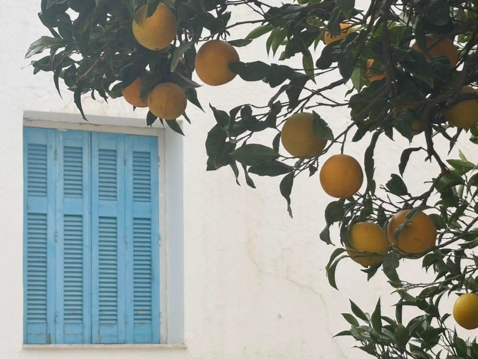 Orange tree and blue shutters in Crete