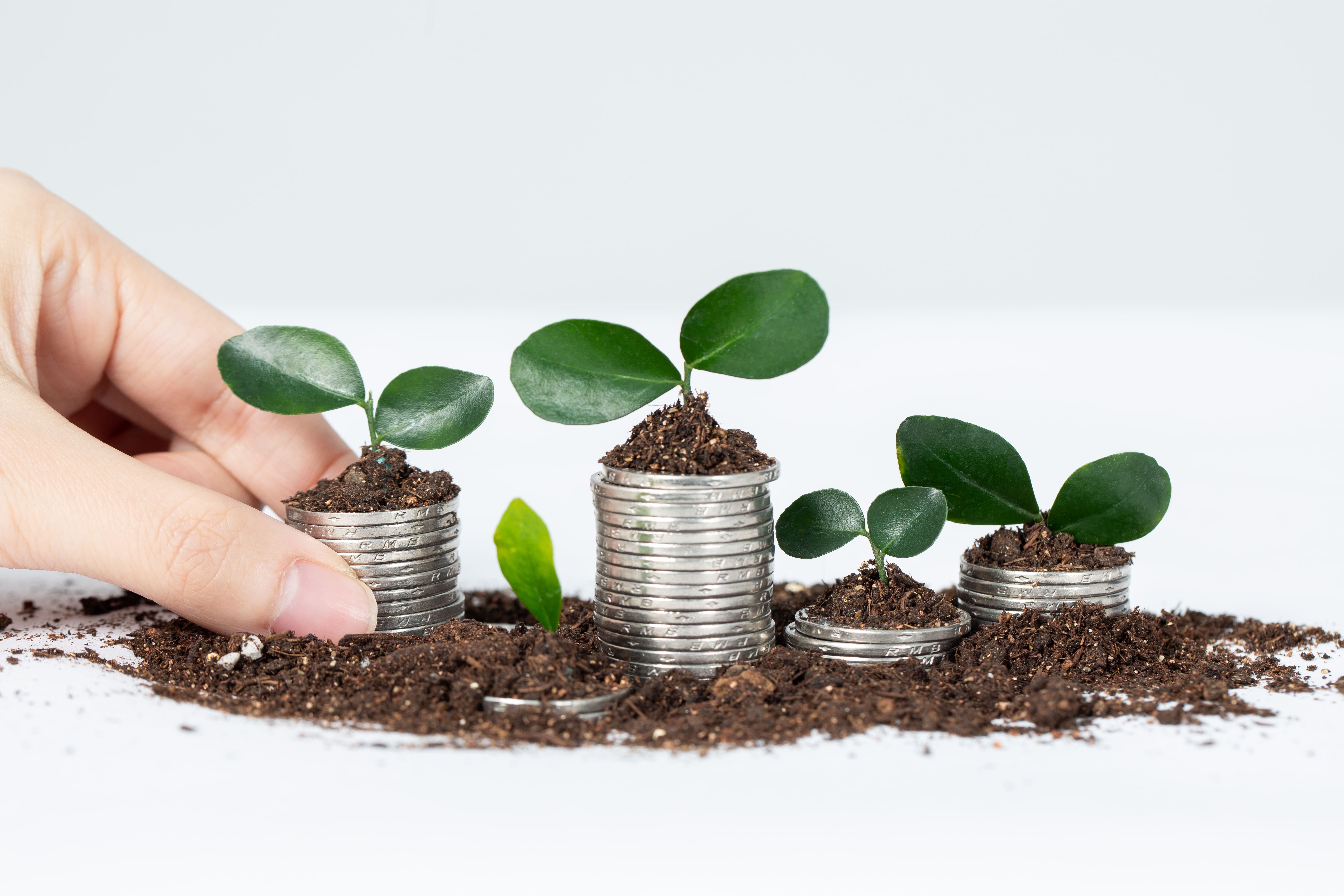 Rast investícií – rastliny vyrastené z mincí