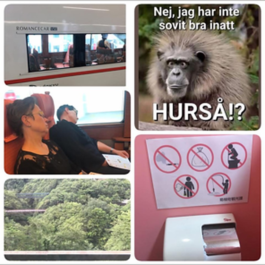 Resa med tåg i Japan
