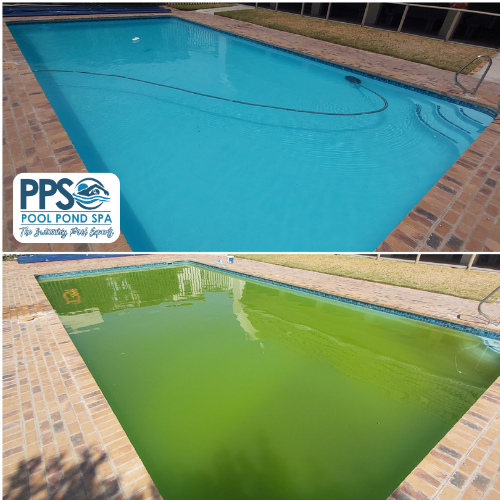 Green Pool Clean Ups
