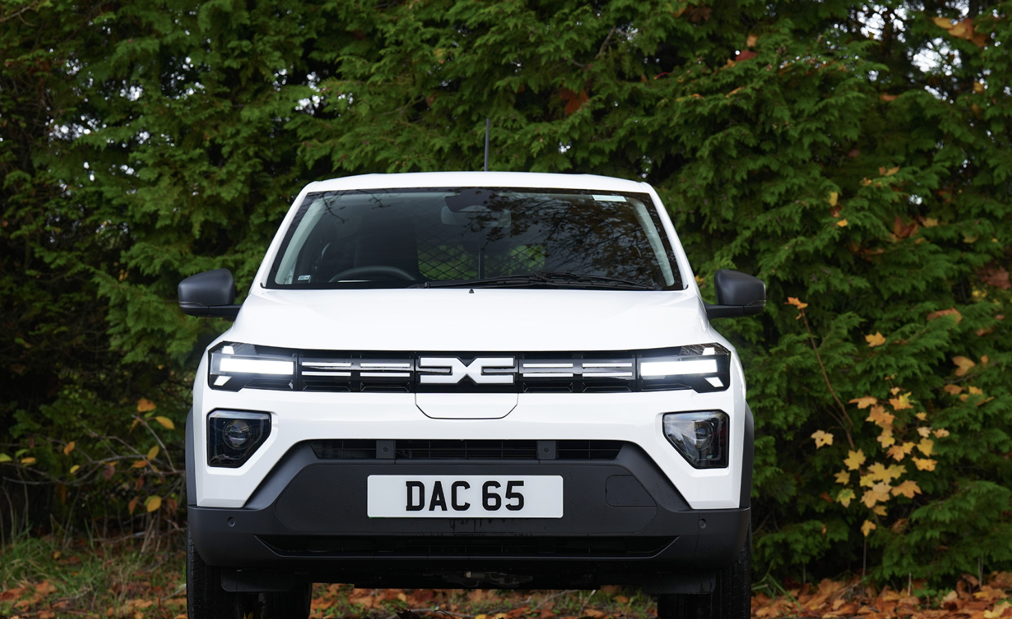 Dacia Spring Electric 65 (2024–)