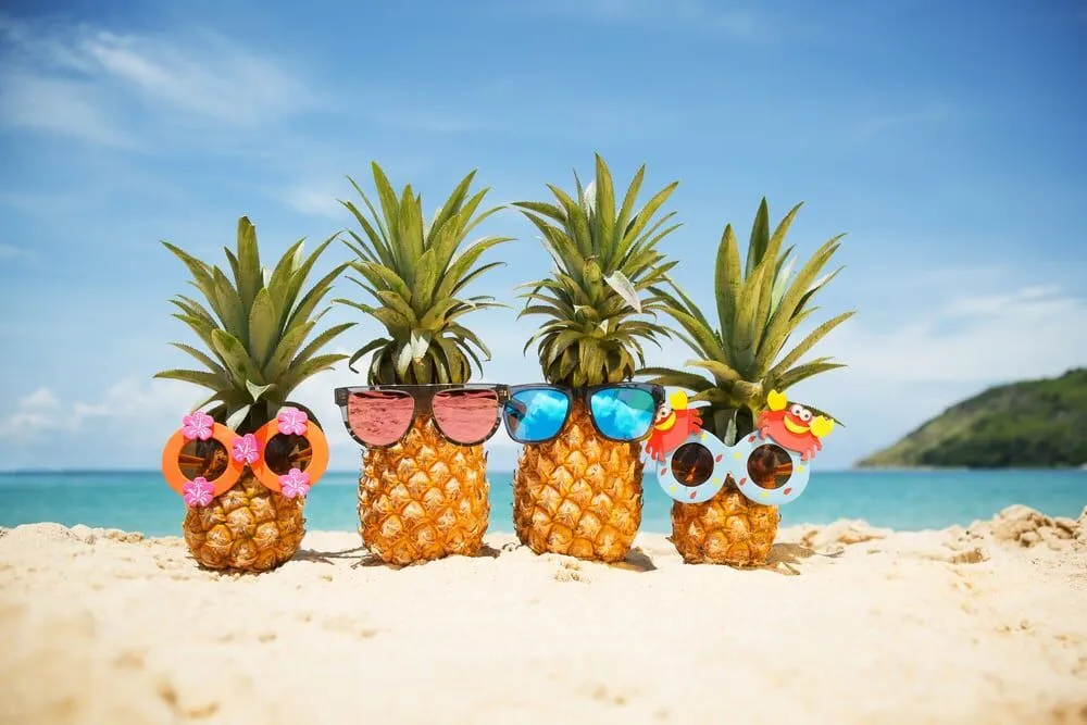Playful holiday-themed image with pineapples wearing sunglasses
