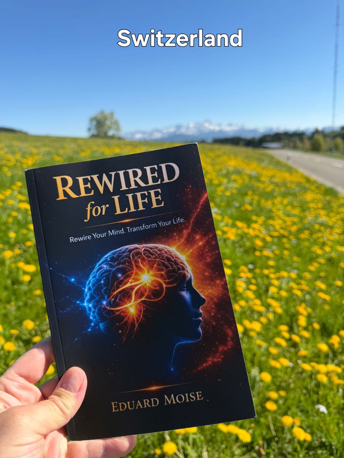 Rewired for Life in Switzerland, held in a field with the Alps in the background