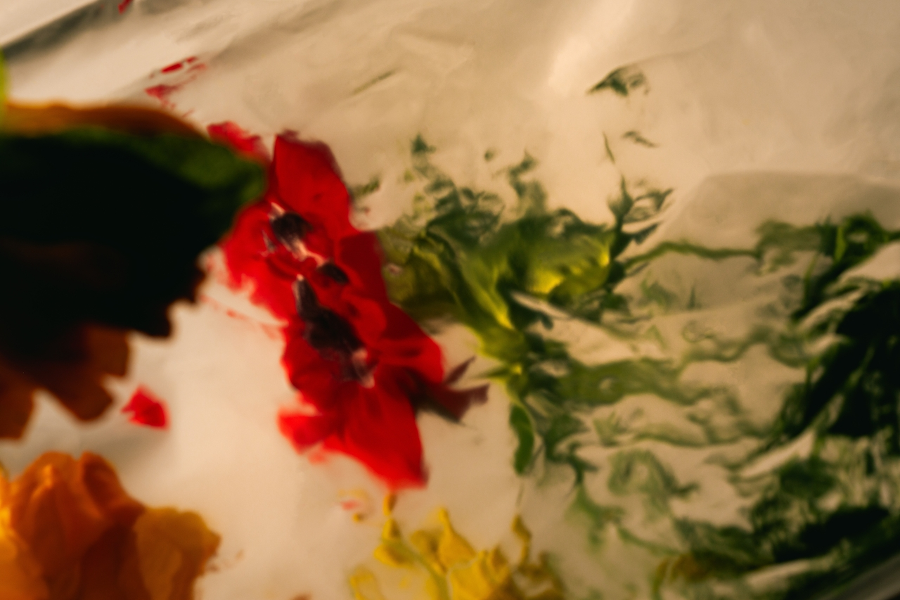 Abstract floral composition with red and green