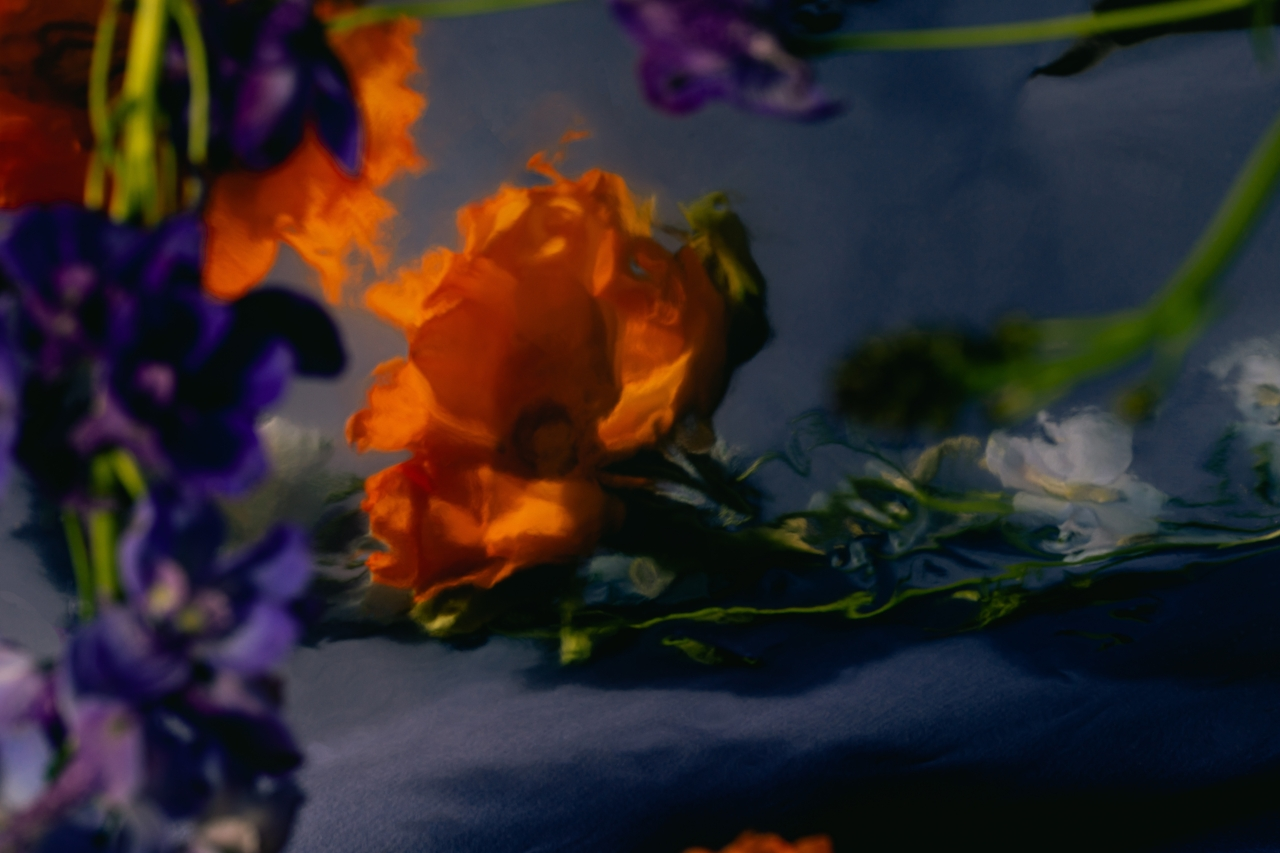 Abstract floral composition in blue and orange