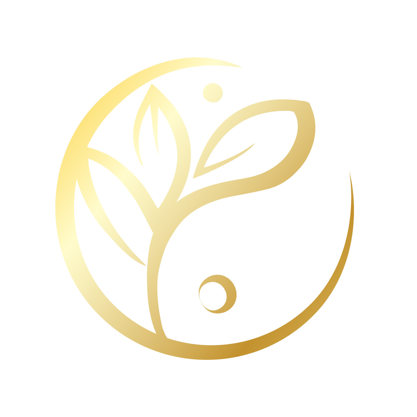 Naturalna Przystań logo