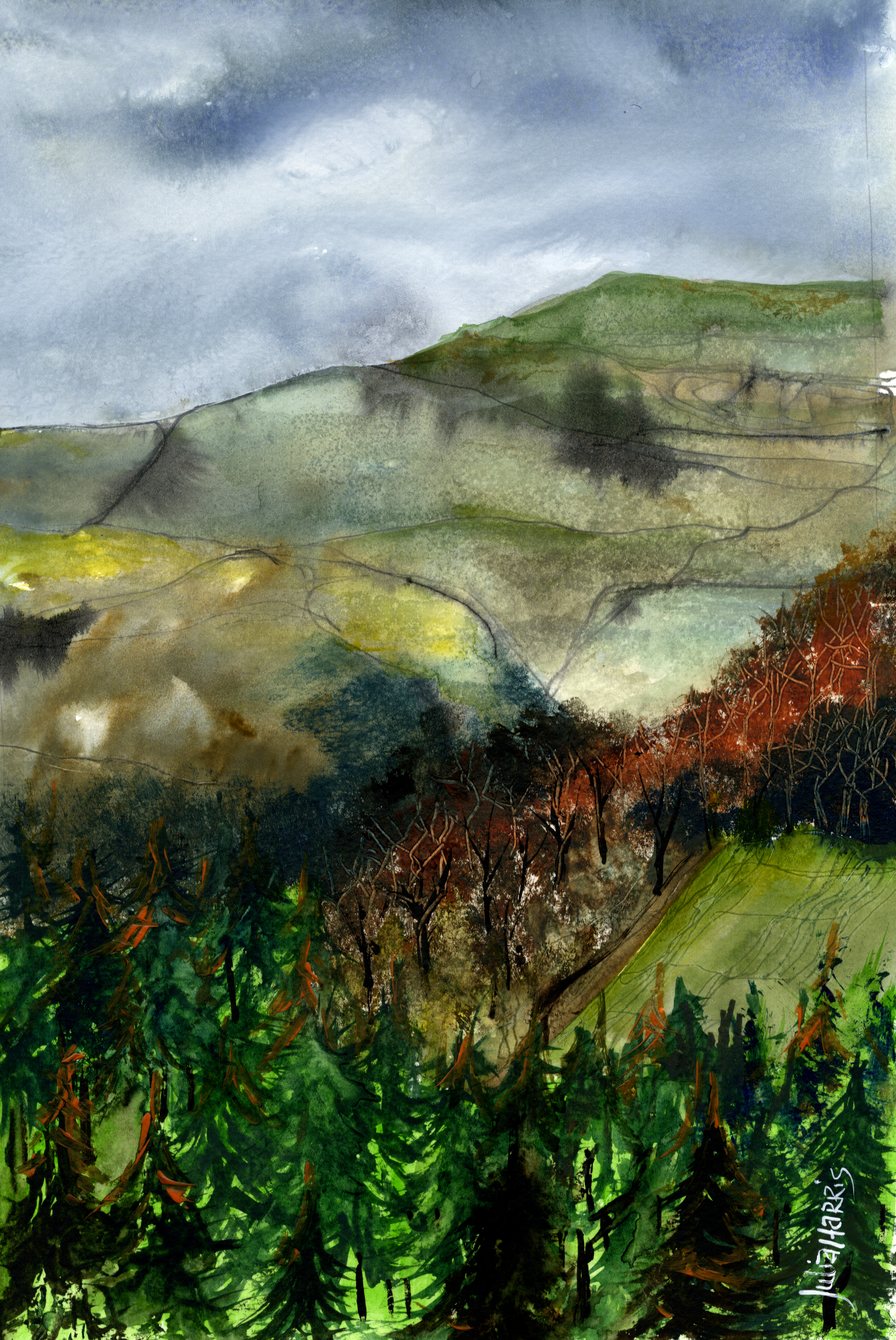 Welsh wildlife paintings