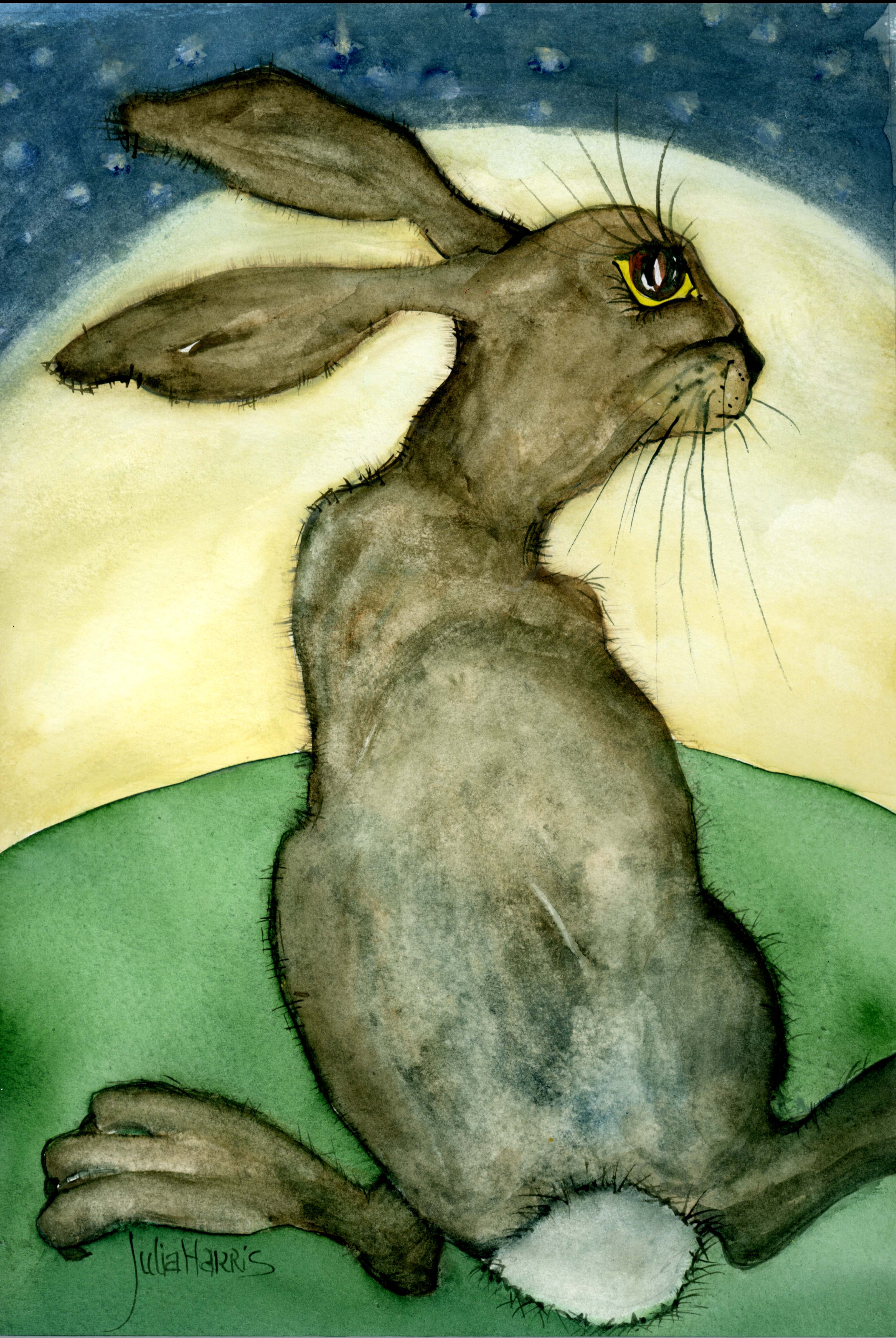 Star Gazing Hare — watercolour painting of a Welsh hare by Julia Harris