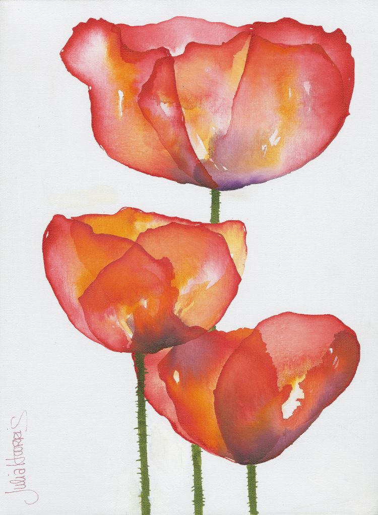 3 Poppies — greeting card by Julia Harris