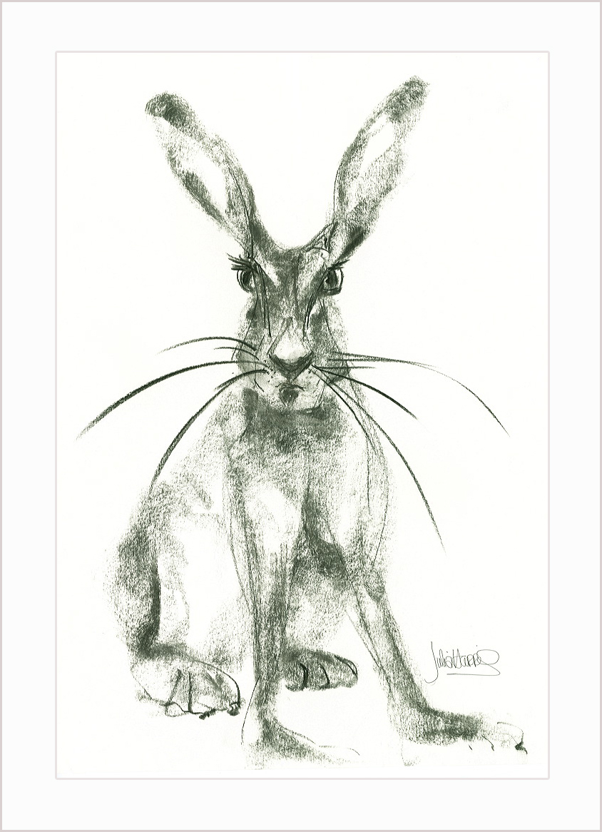 Hare with Attitude — charcoal hare print by Julia Harris, Welsh artist