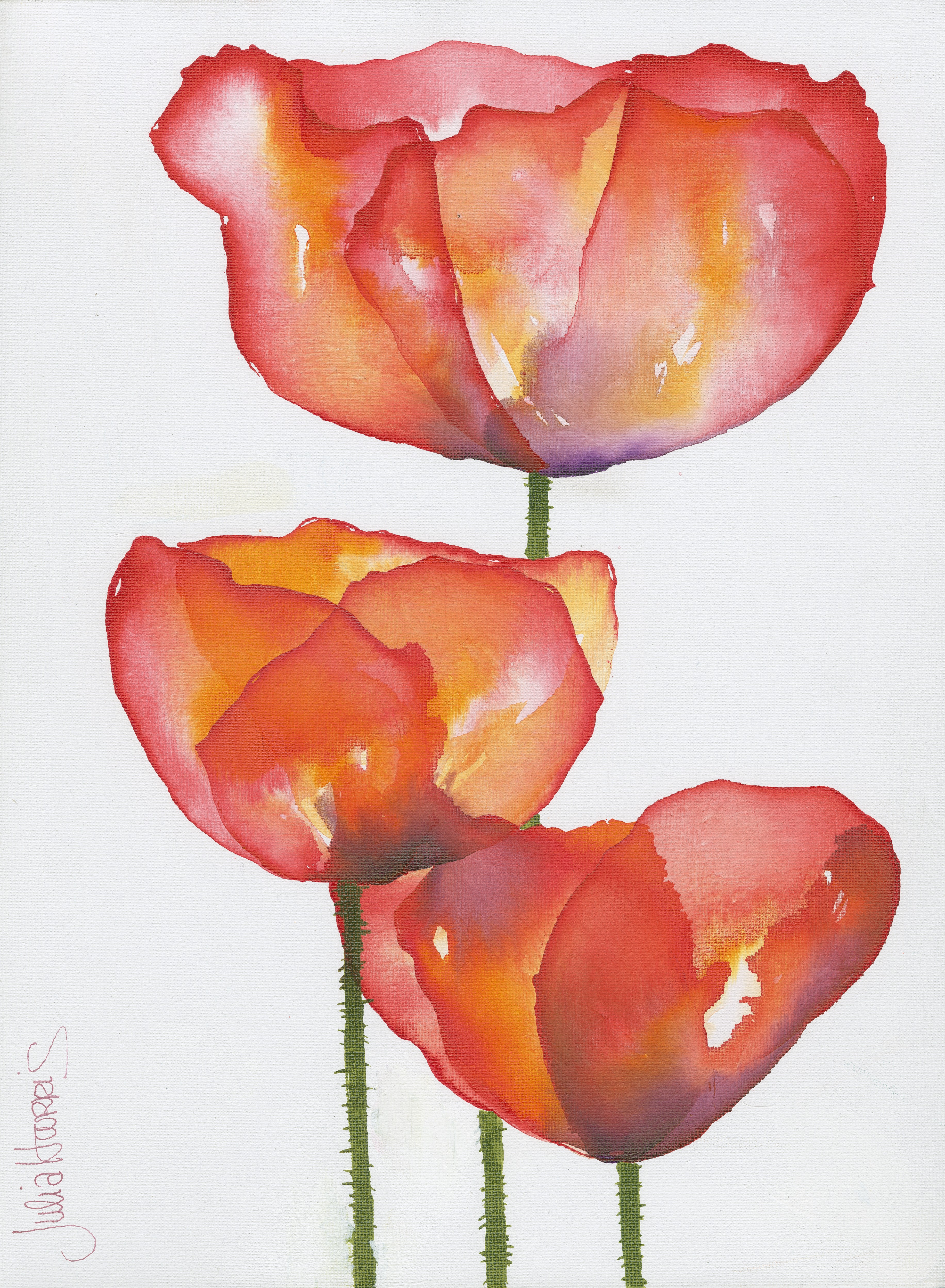 Three red and orange poppies — watercolour painting by Julia Harris, Welsh artist