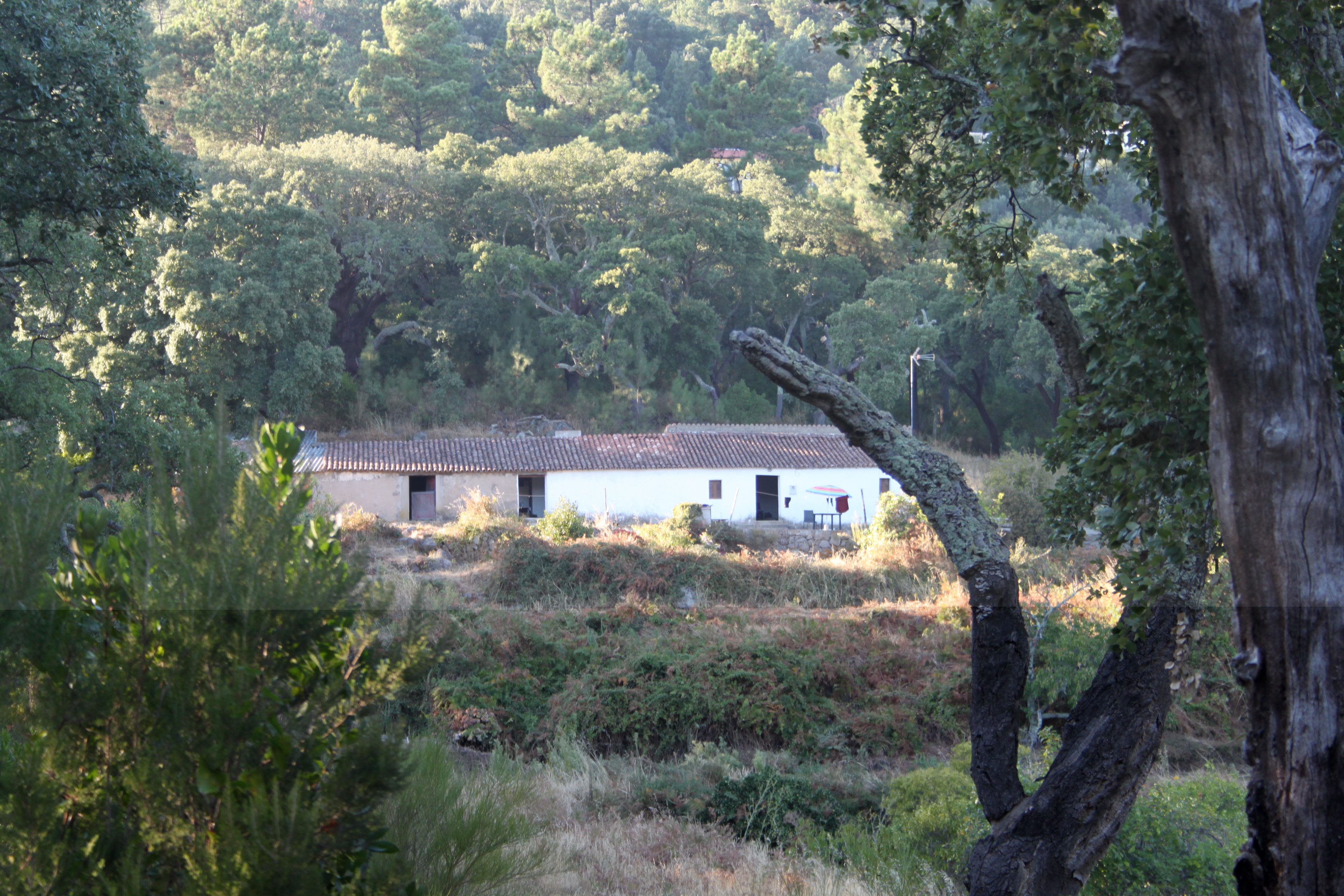 Quinta Picapau before renovation