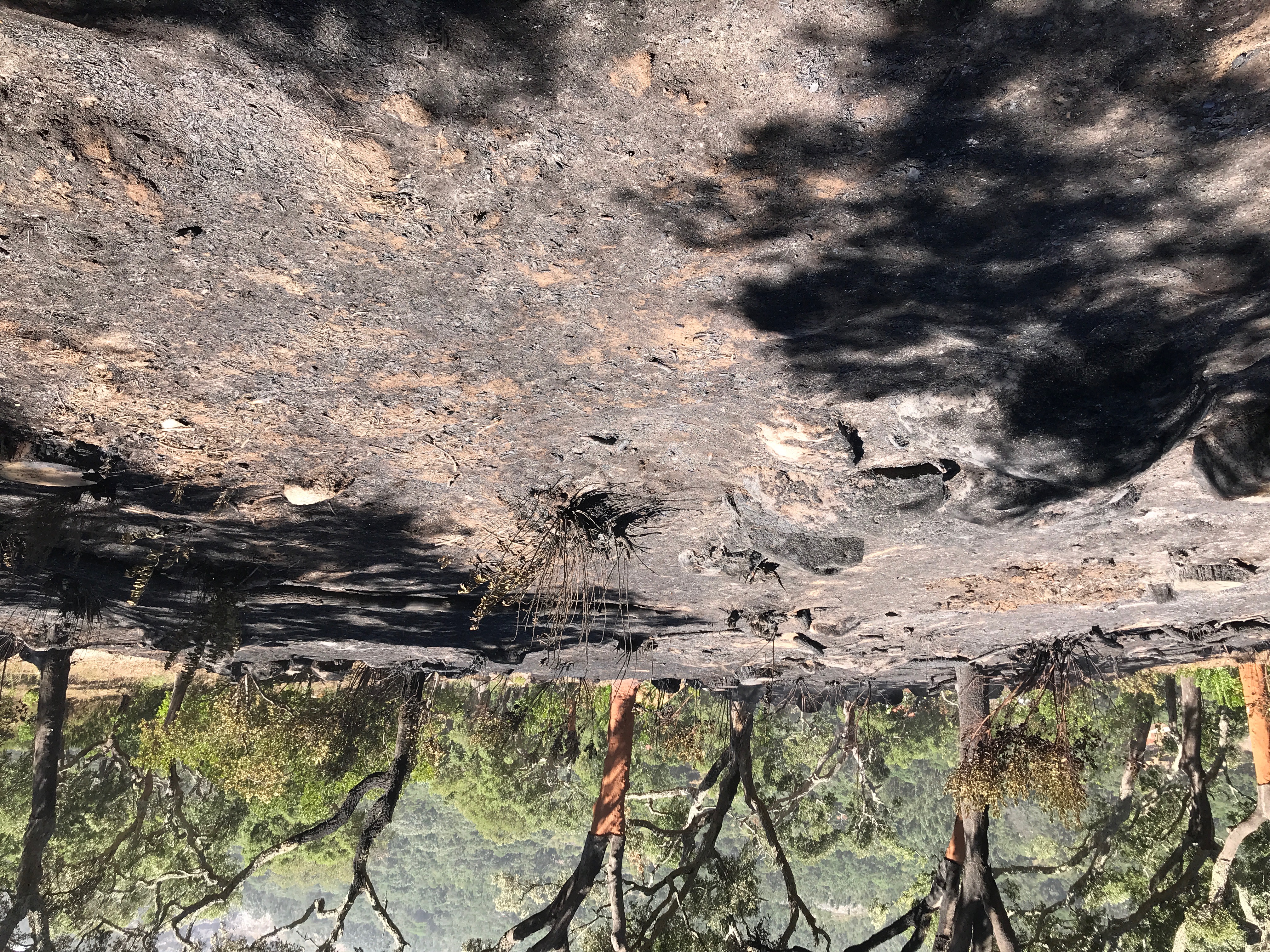 The fire advancing through the Serra de Monchique, August 2018