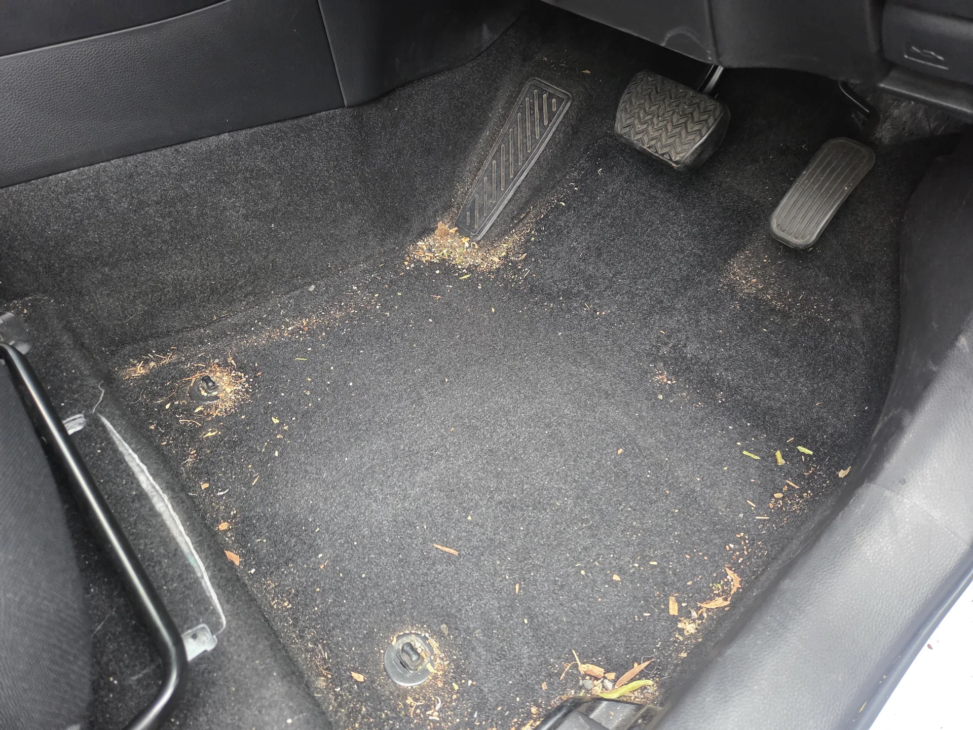 Floor mat before