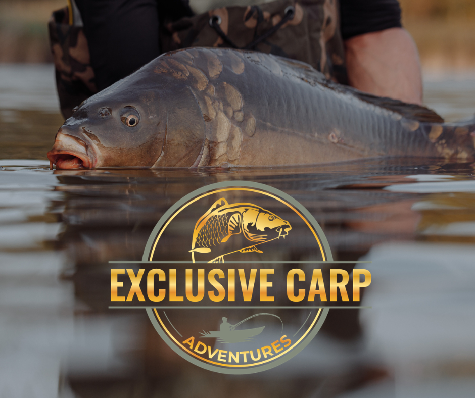 Exclusive Carp Adventures