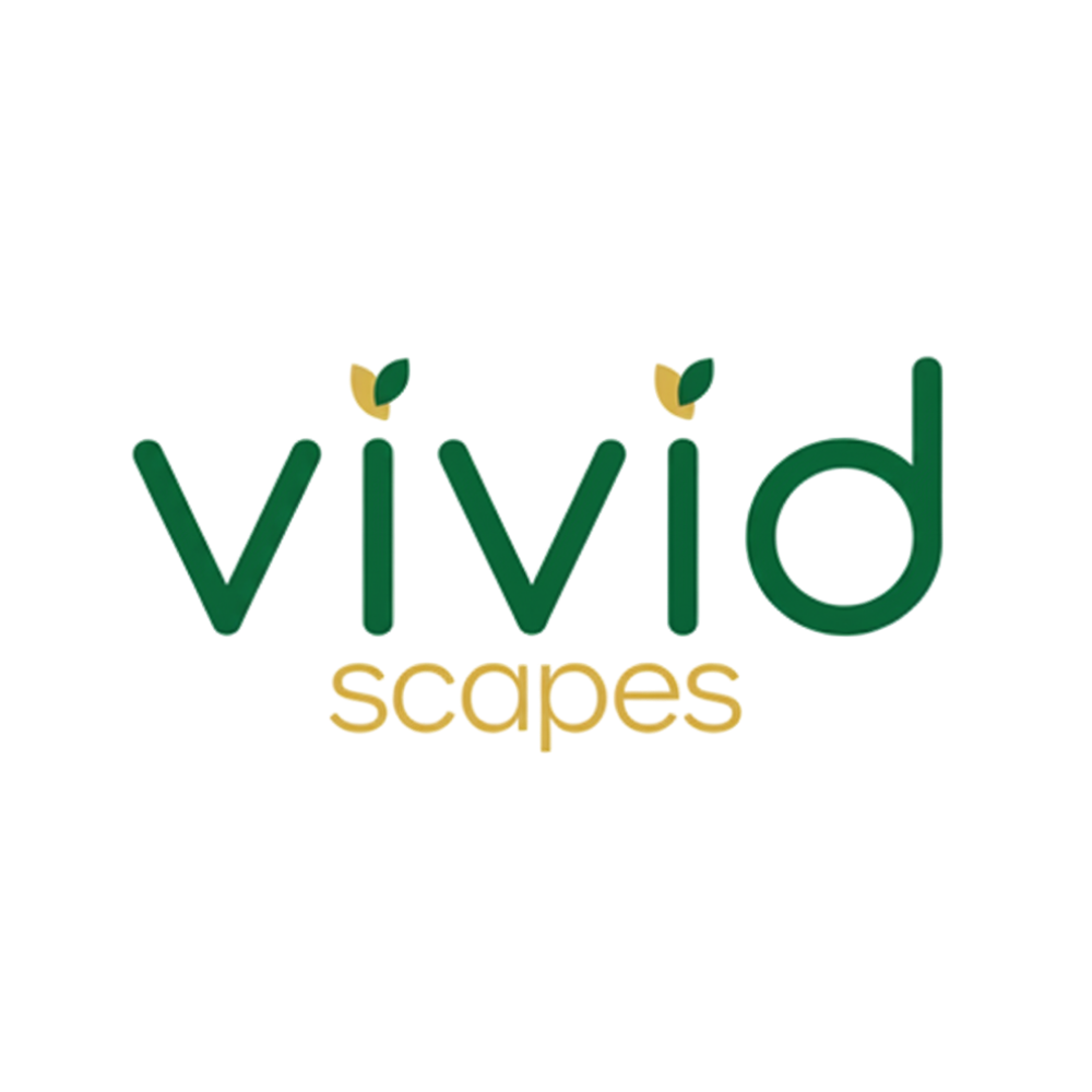 Vivid Scapes