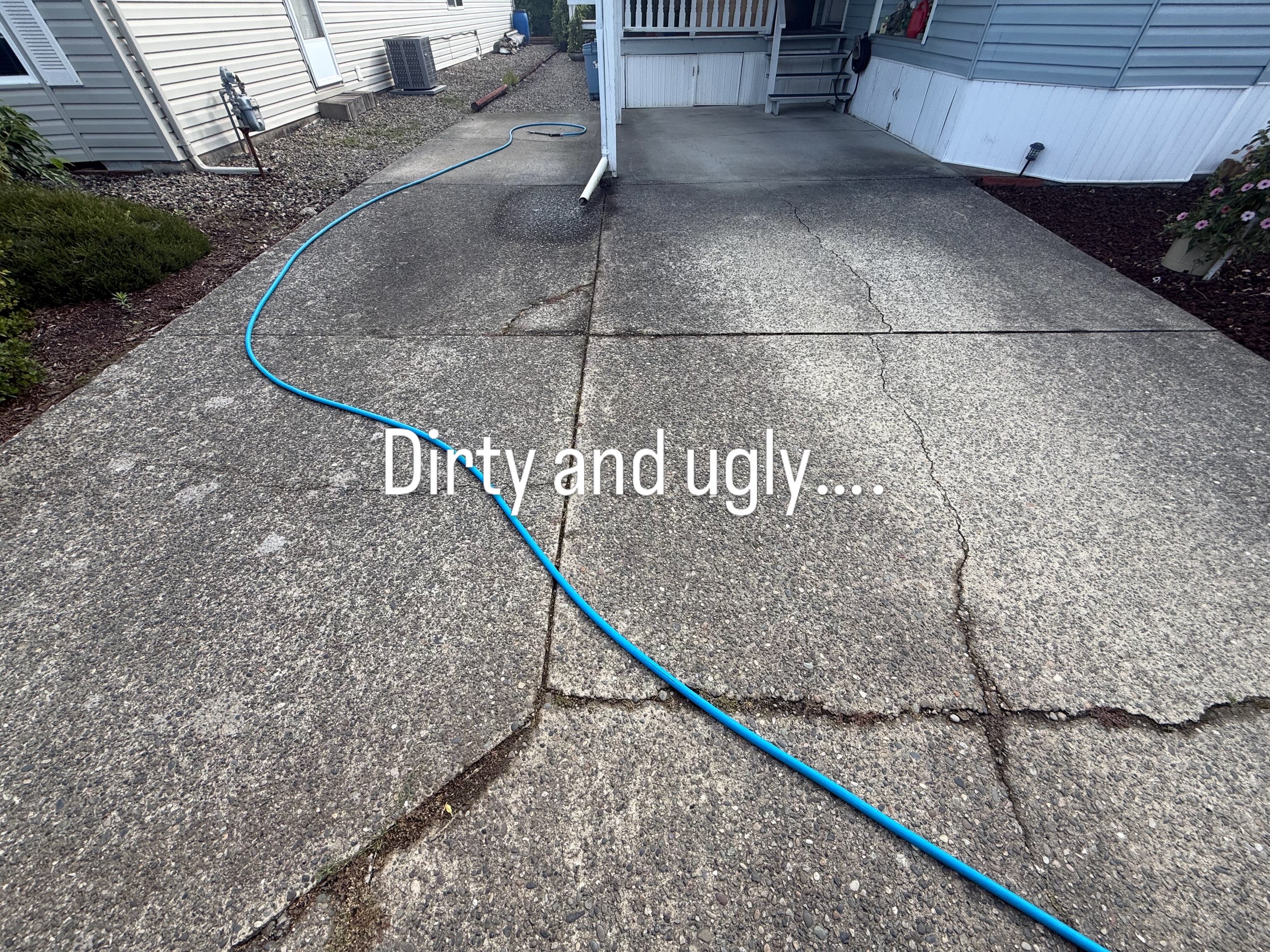 Driveway before wash