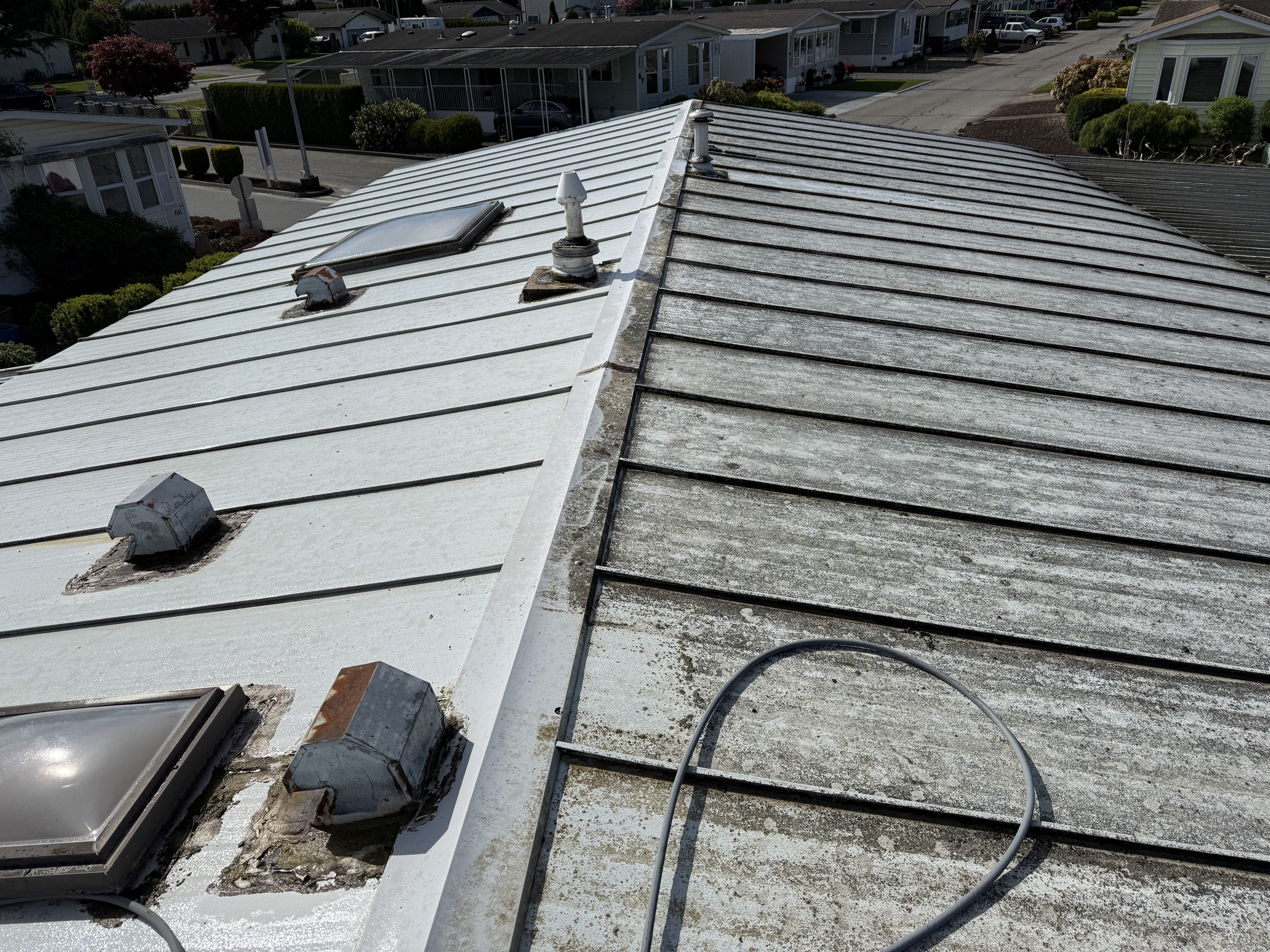 Before & After — Roof Cleaning