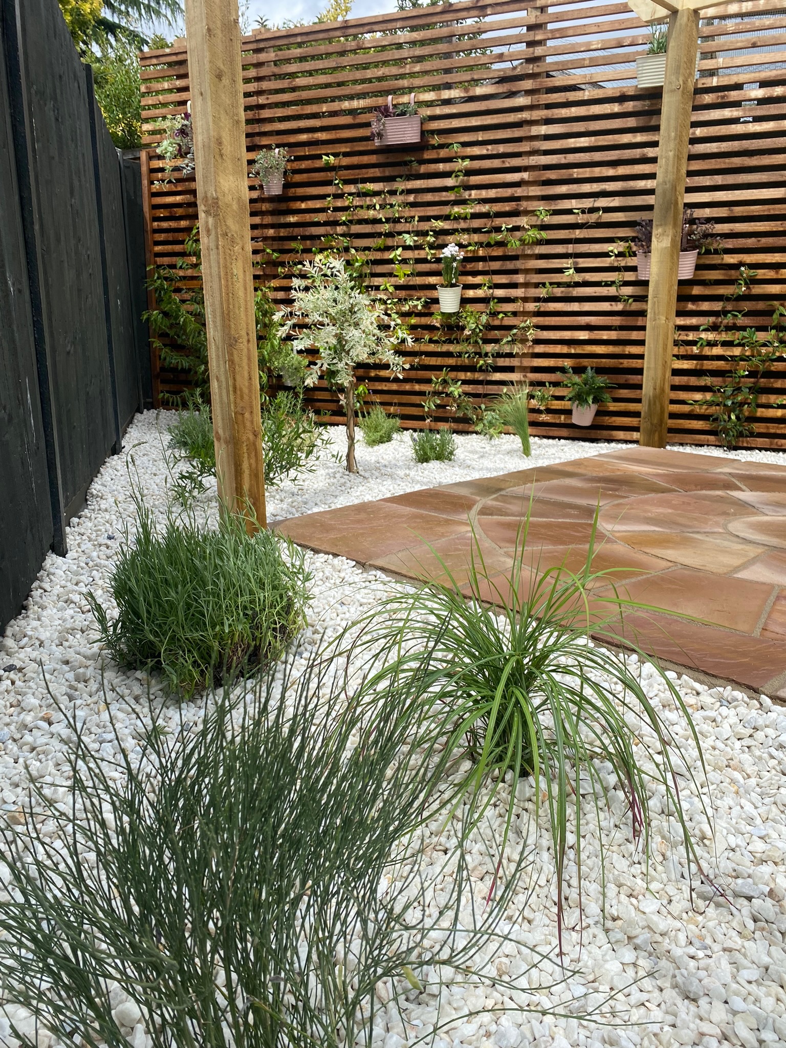 ORNAMENTAL GRASSES & PAVING