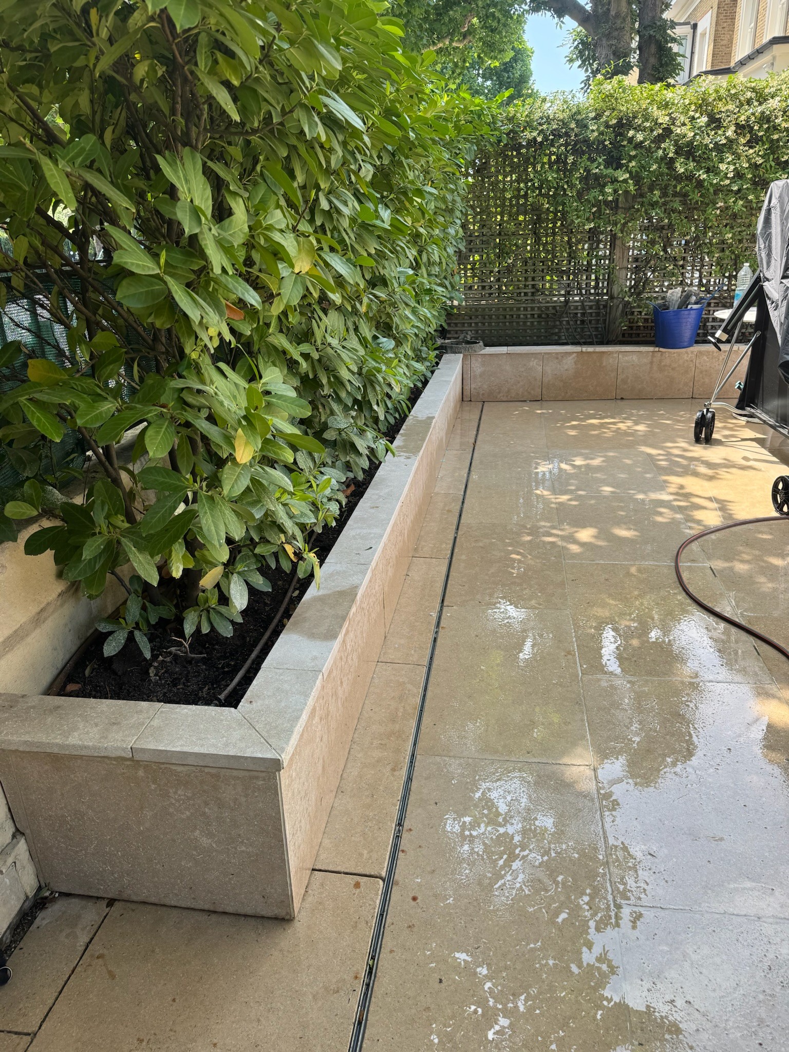 PLANTING & BORDERS