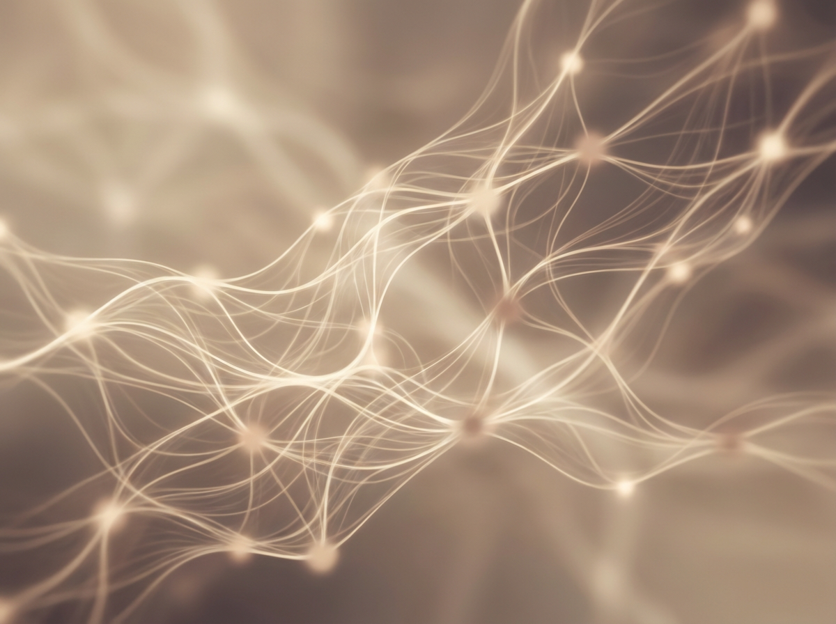 Beyond Longevity Network