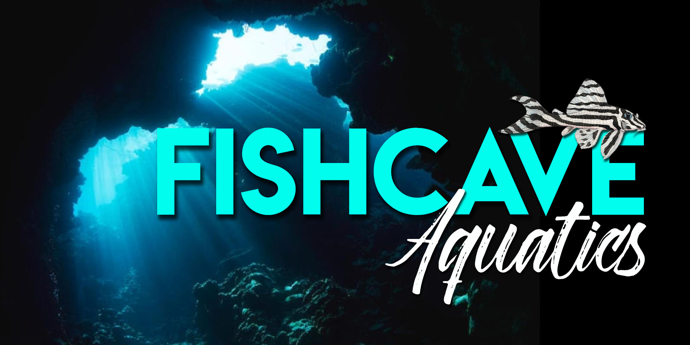 Fishcave Aquatics Logo