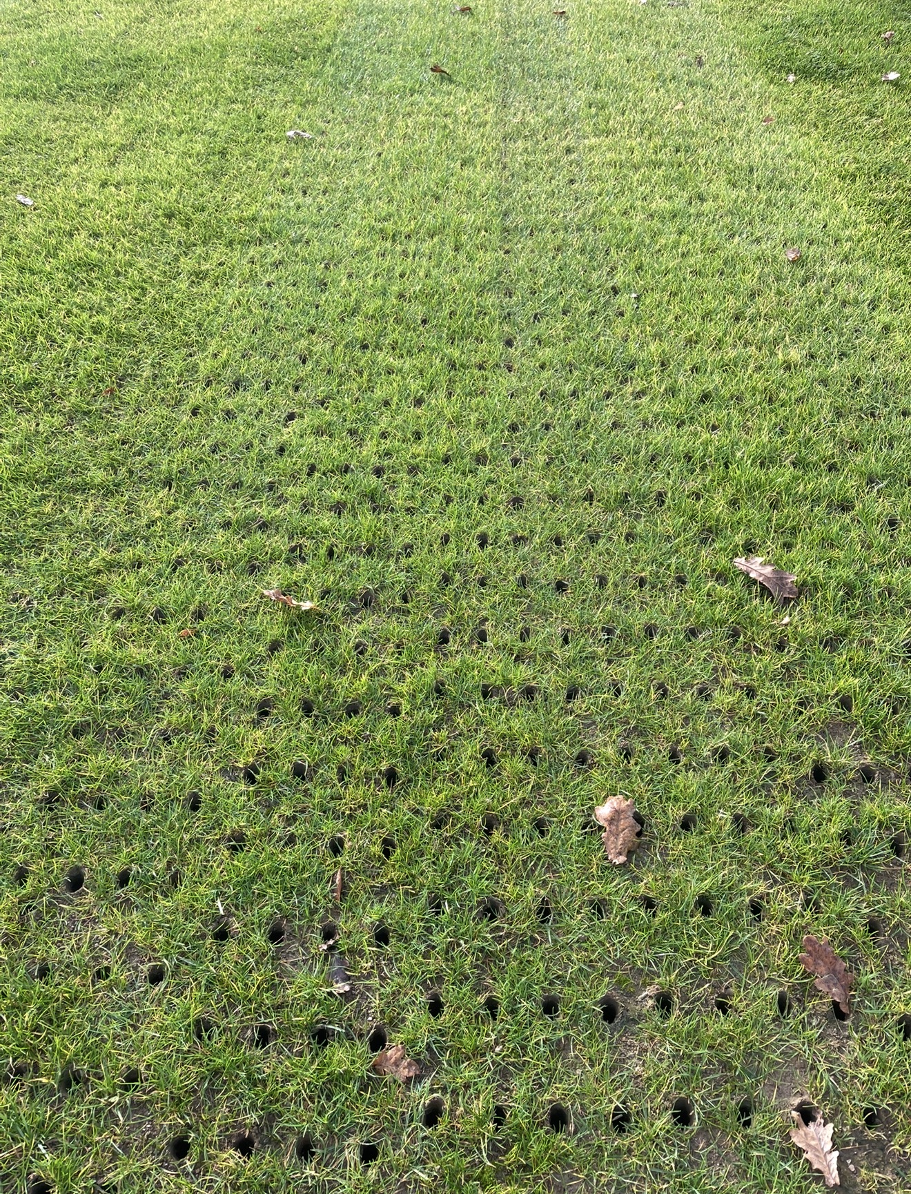 Aeration sports turf maintenance East Sussex