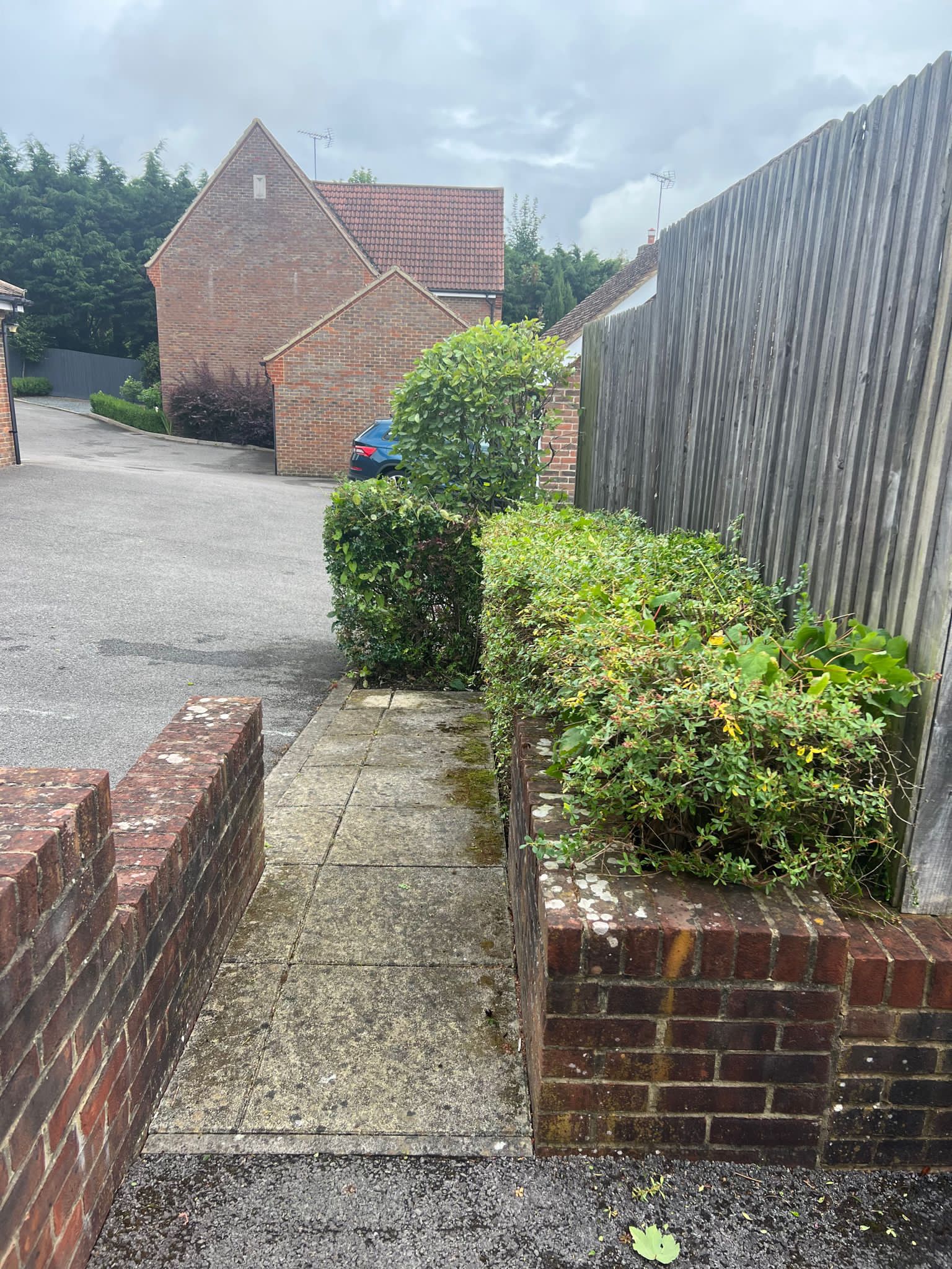 Before & After: Overgrown Garden Clearance - After