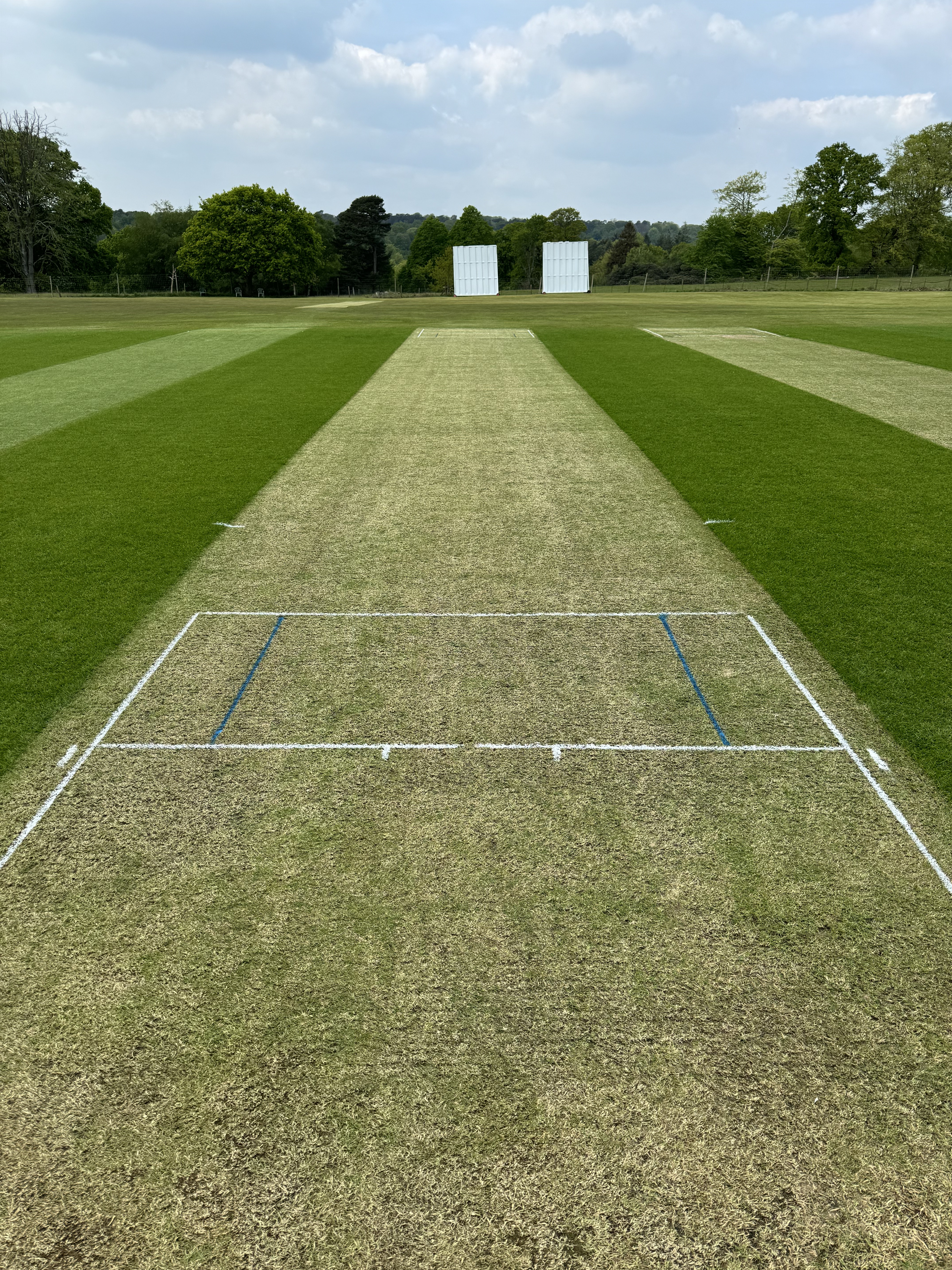 Professional cricket pitch maintenance East Sussex