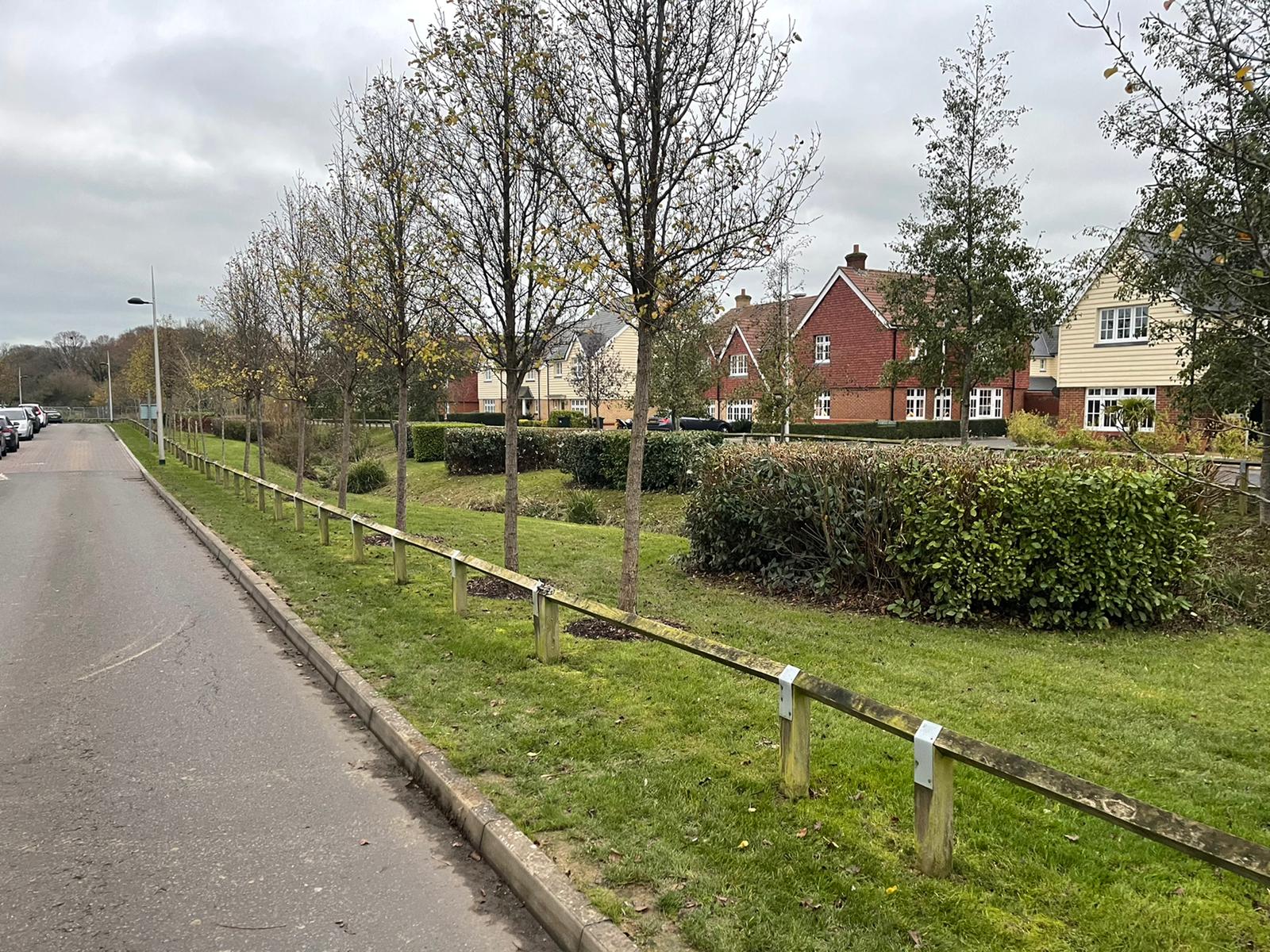 Estate Grounds Transformation - Image 1