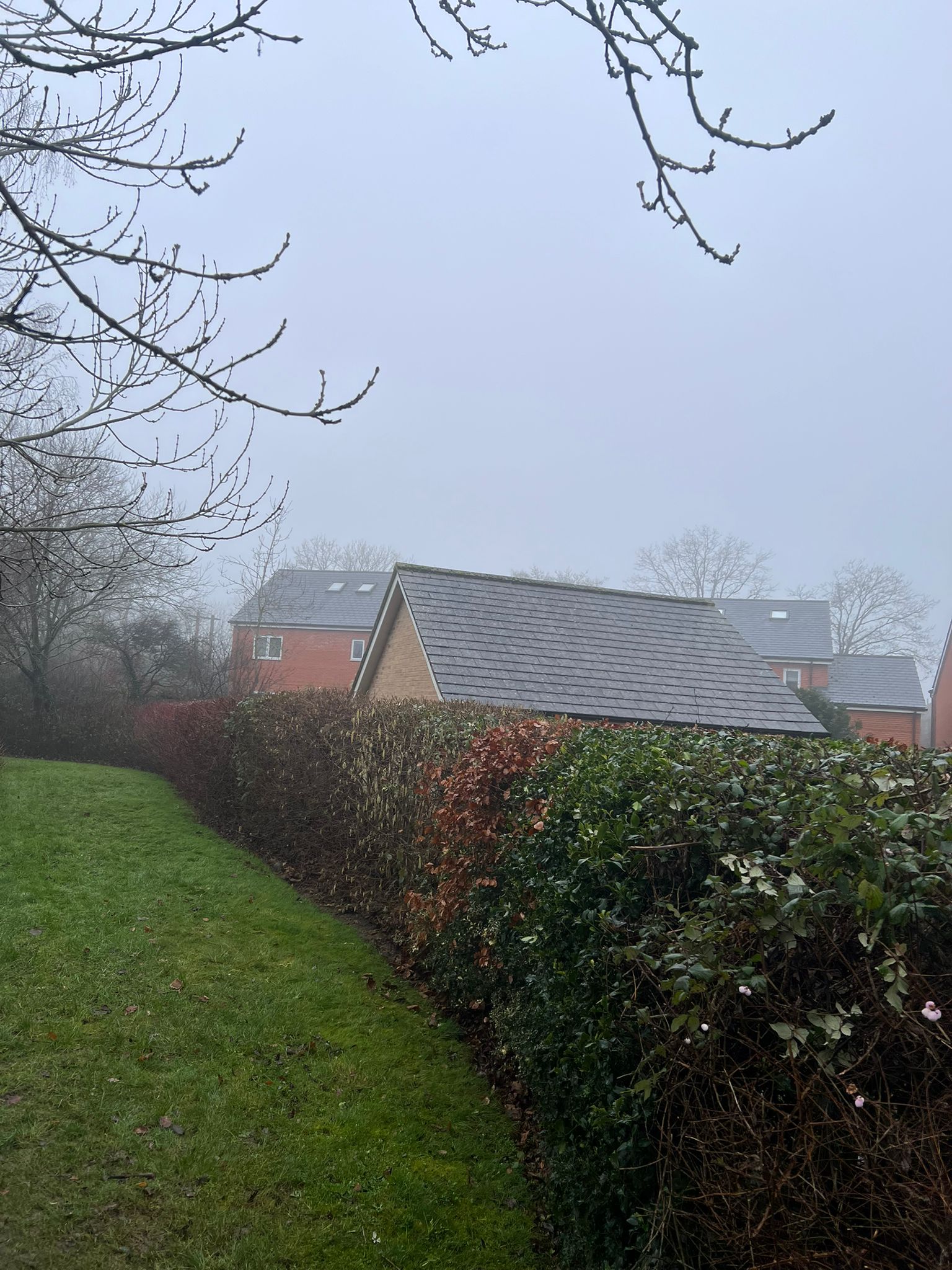 Hedge Maintenance & Grounds Care - Image 3