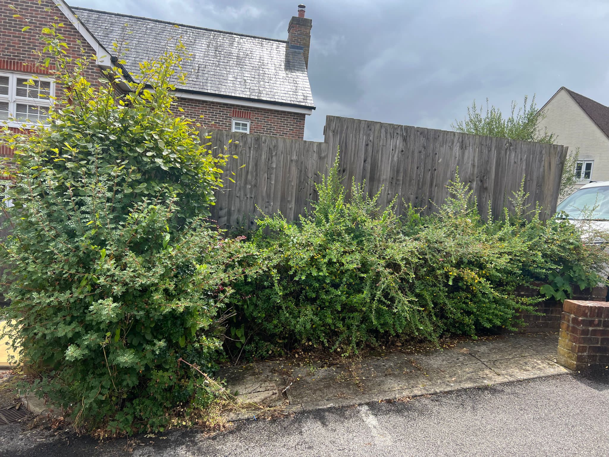 Before & After: Overgrown Garden Clearance - Before