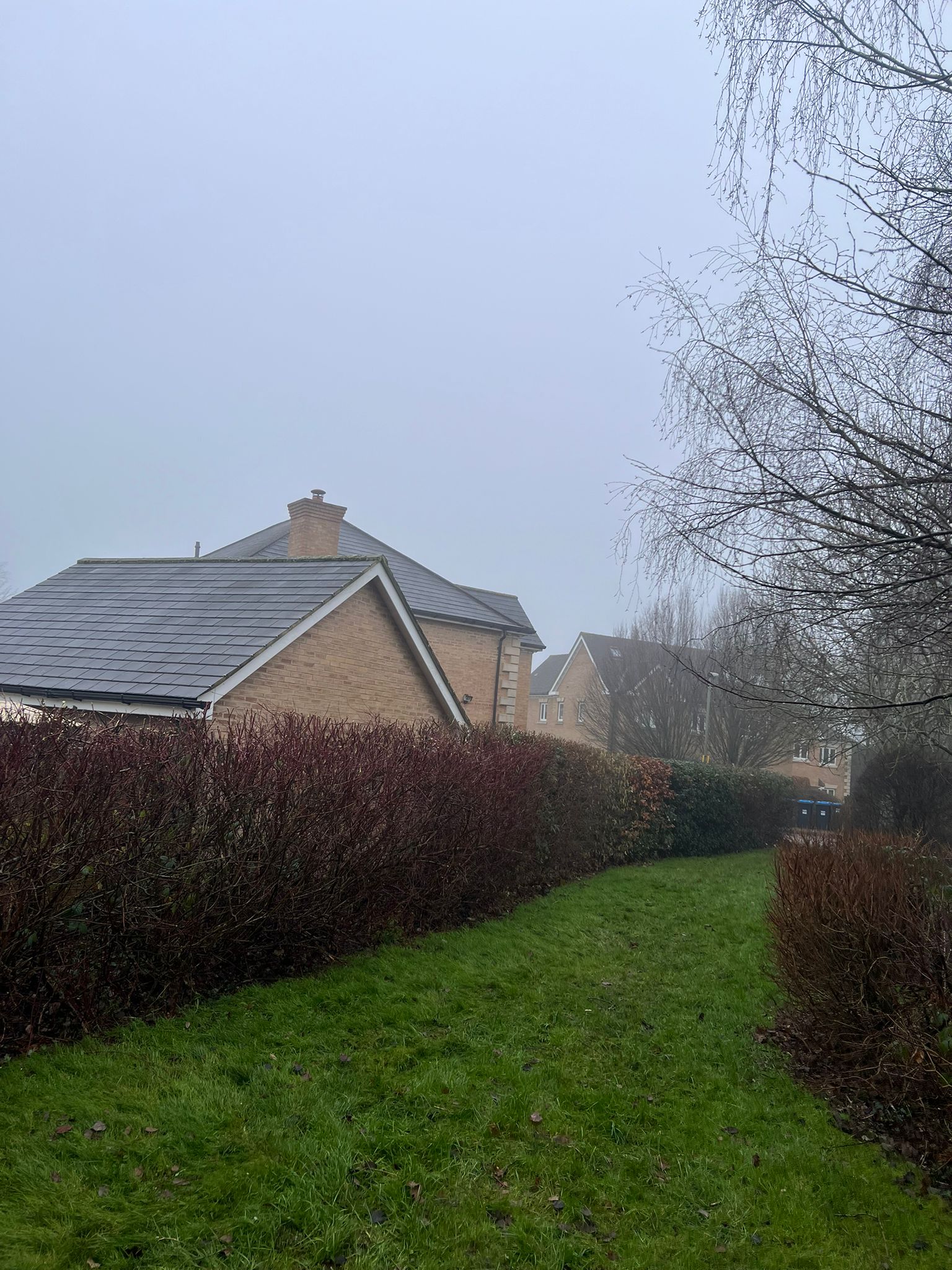 Hedge Maintenance & Grounds Care - Image 2